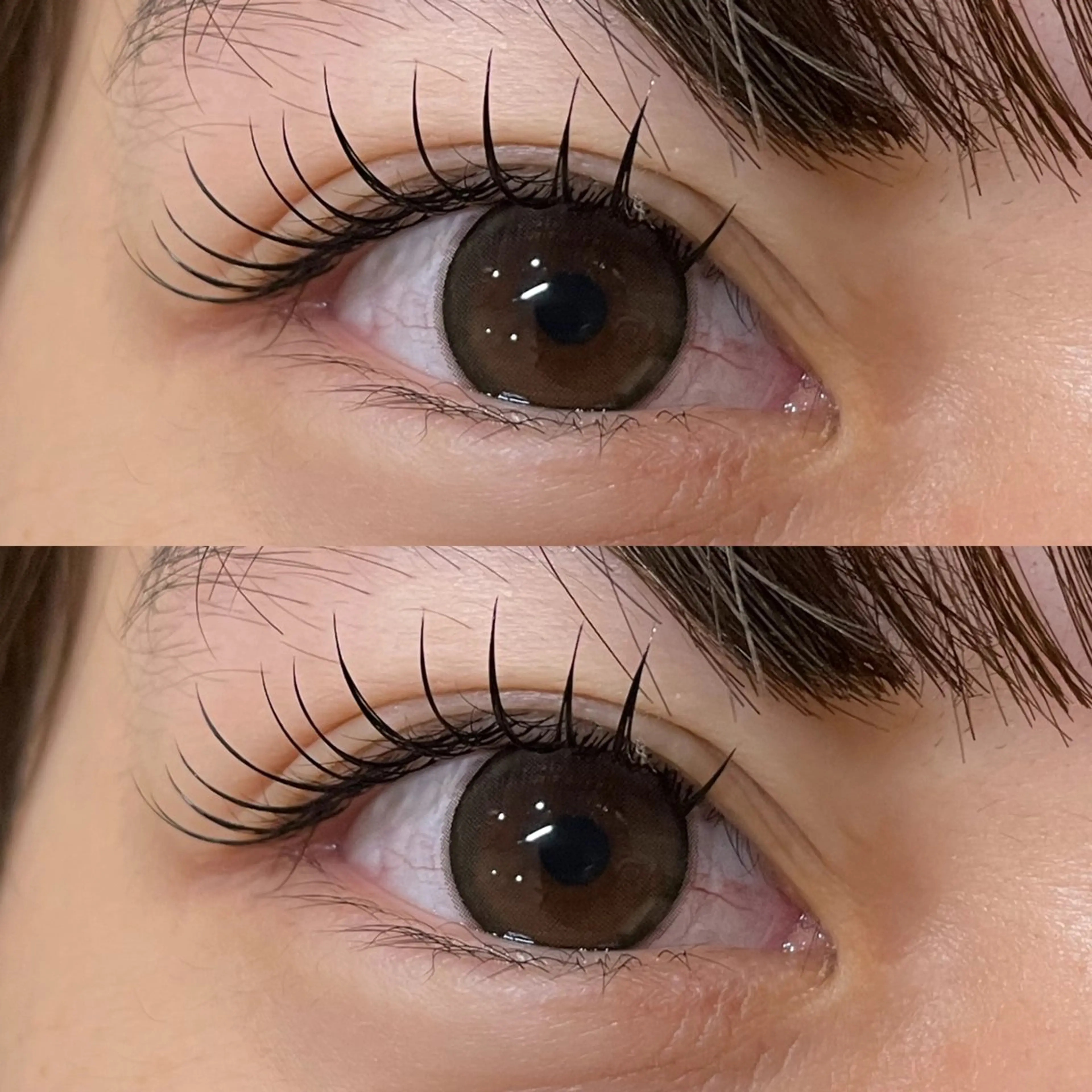 マツエク・マツパ ナチュラル ＋tico _ayanaのマツエク・マツパデザイン