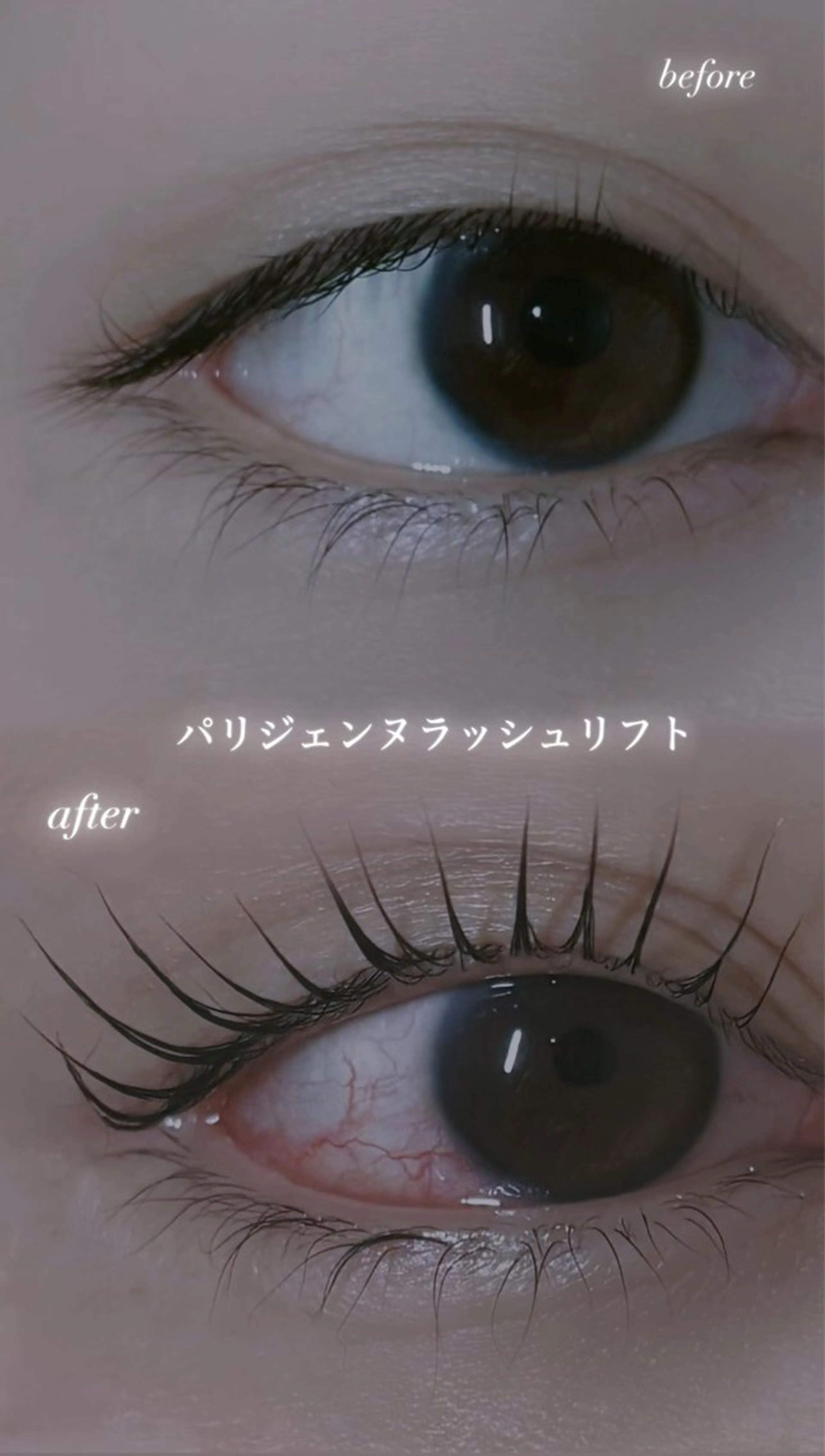 マツエク・マツパ パリジェンヌラッシュリフト 仲尾 奏音のマツエク・マツパデザイン