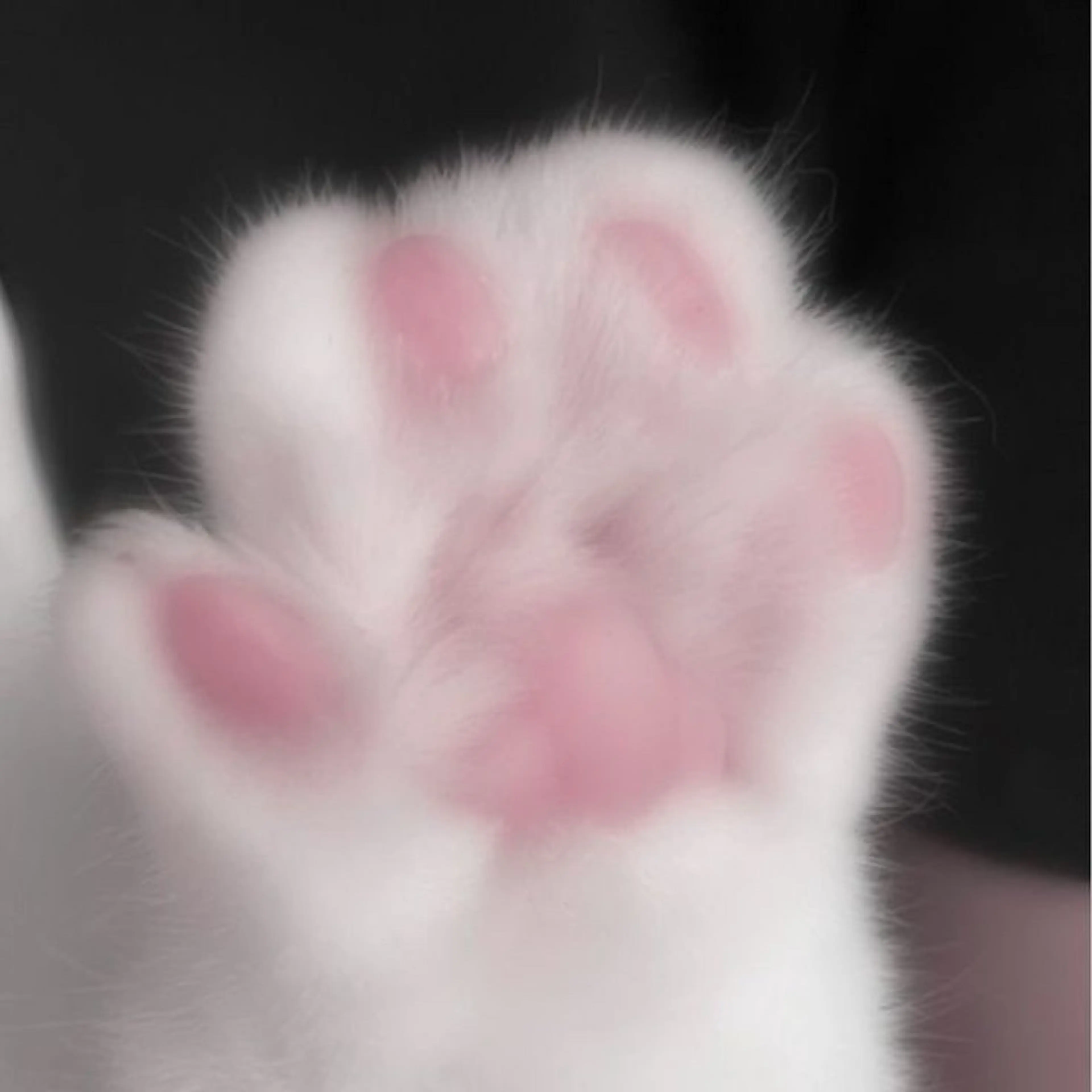 🎀2回目以降再来の方🎀【ブリーチなし】ワンカラーの写真