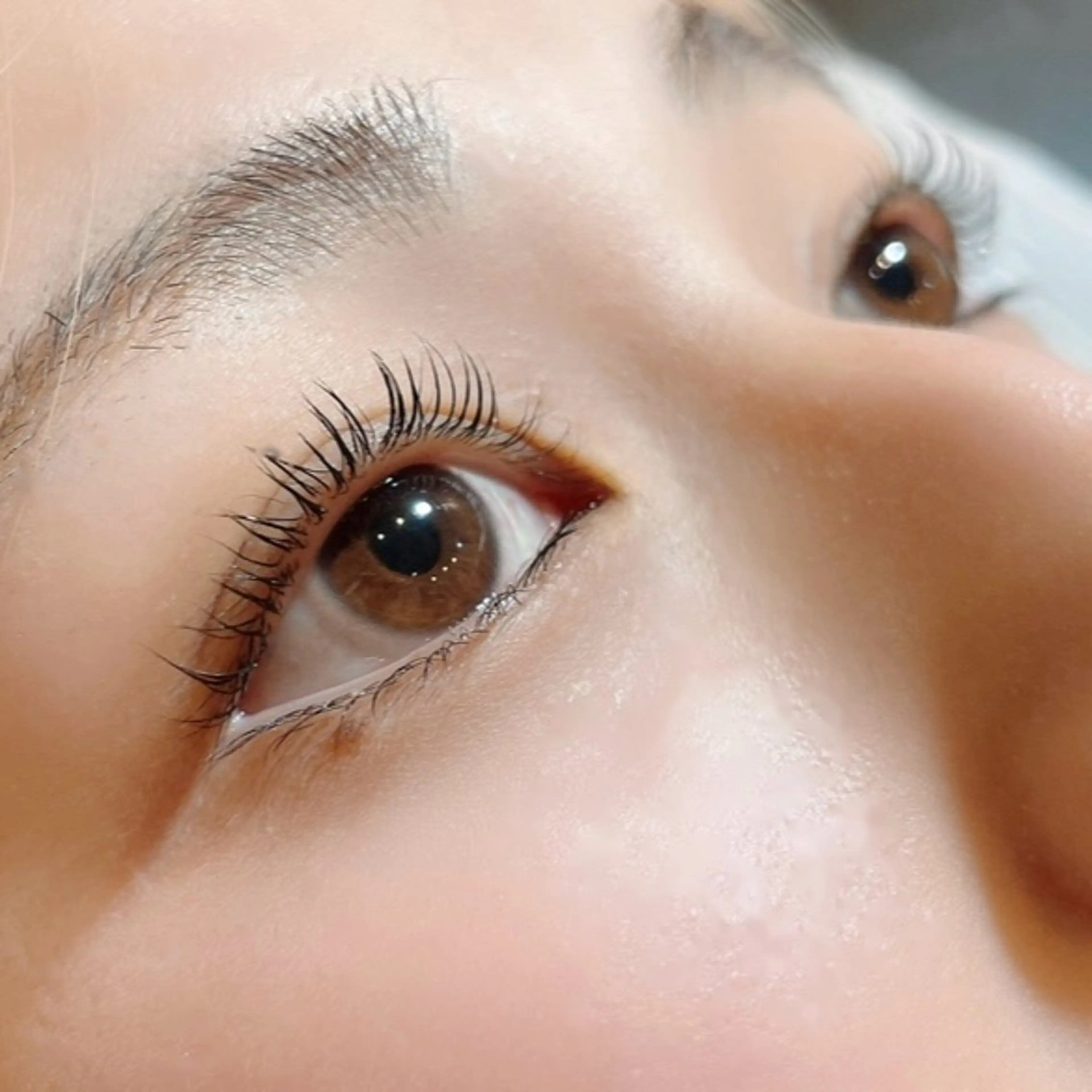 リフトアップ/まつ毛パーマ🫧シャンプー・コーティング付きの写真