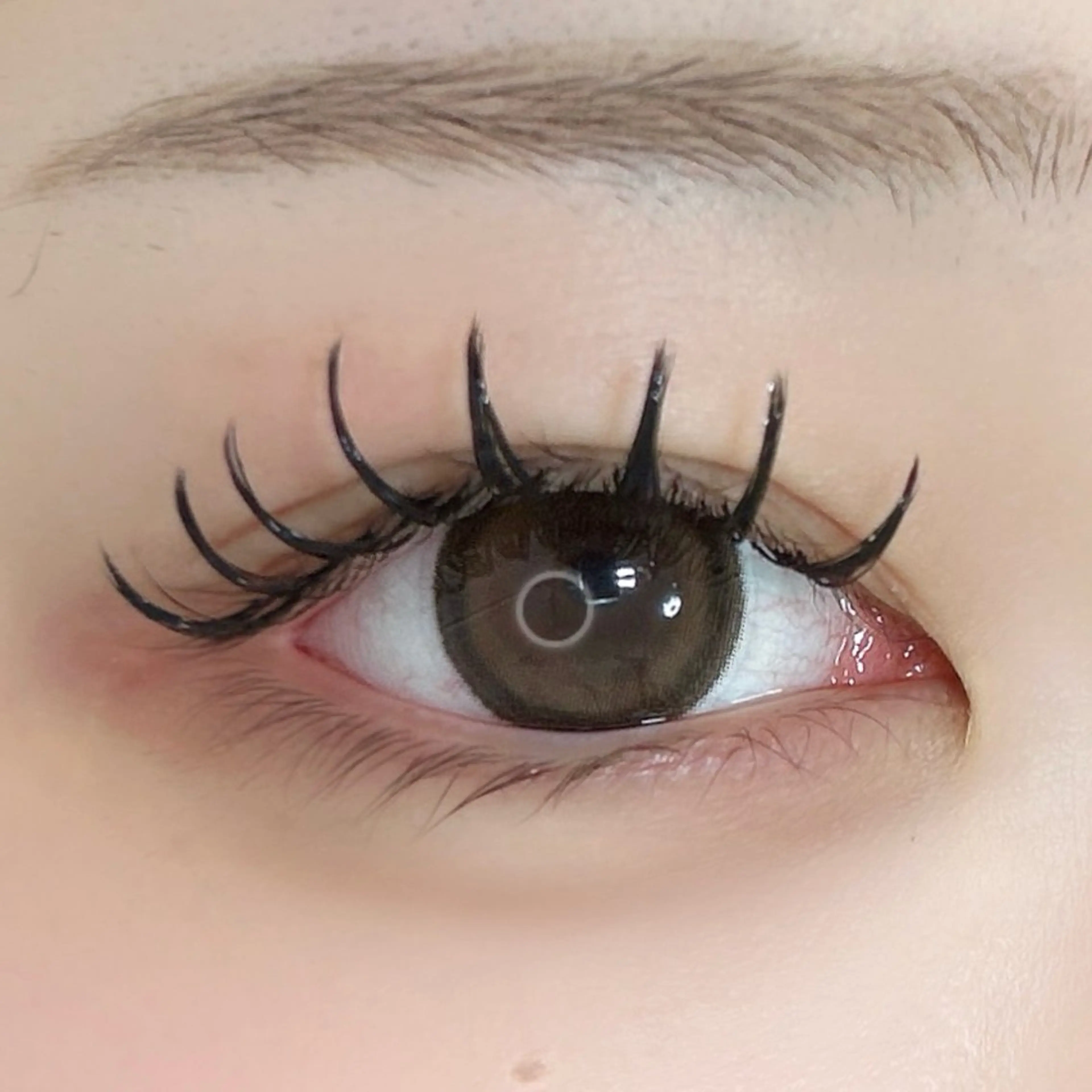 【初回〜2回目まで】 🍒ダブルフラットラッシュ🍒100束(200本)/コーティング付きの写真