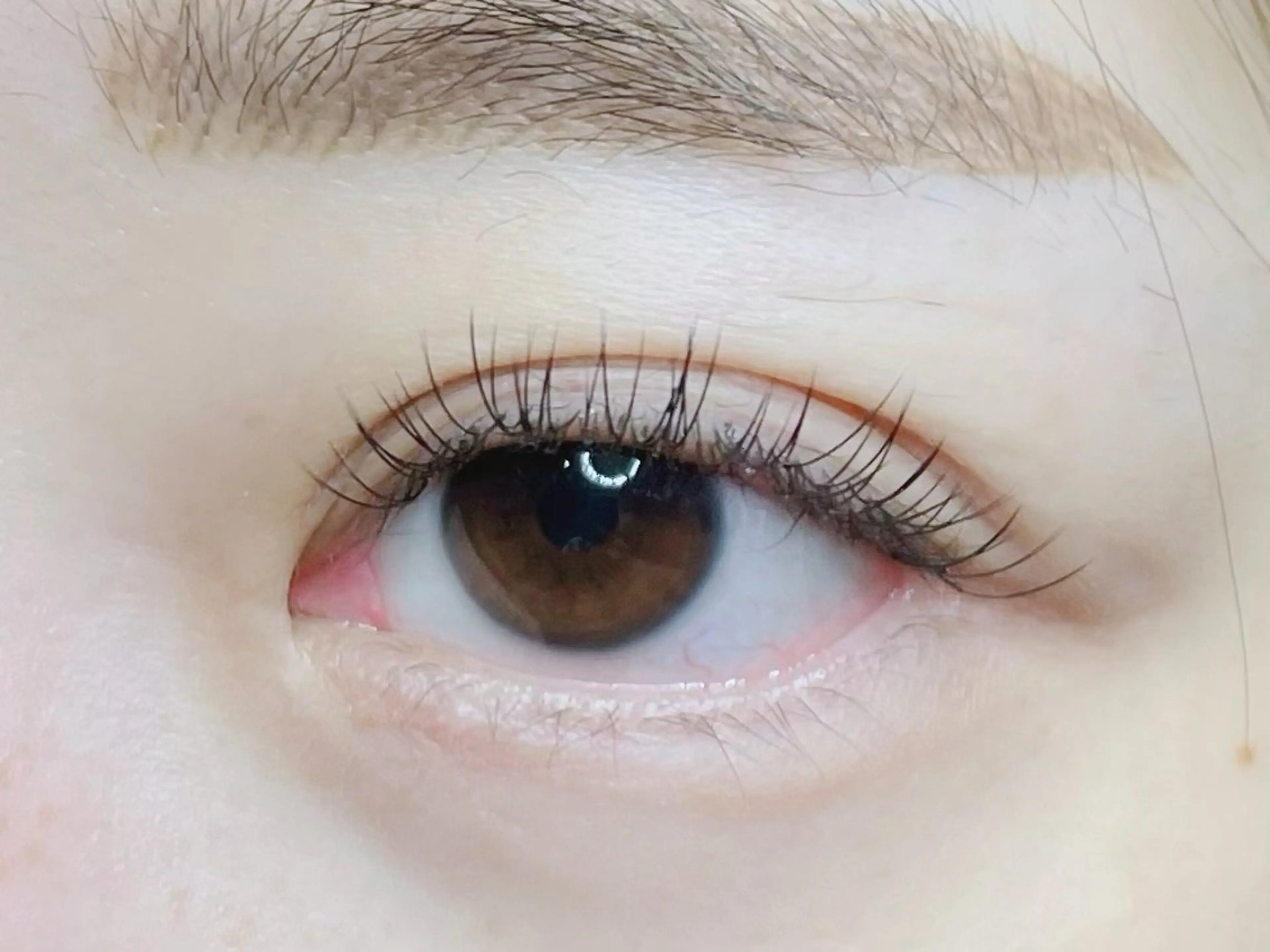 マツエク・マツパ マツエク Orem【オルム】所属・Orem高円寺 Tamakiのマツエク・マツパデザイン