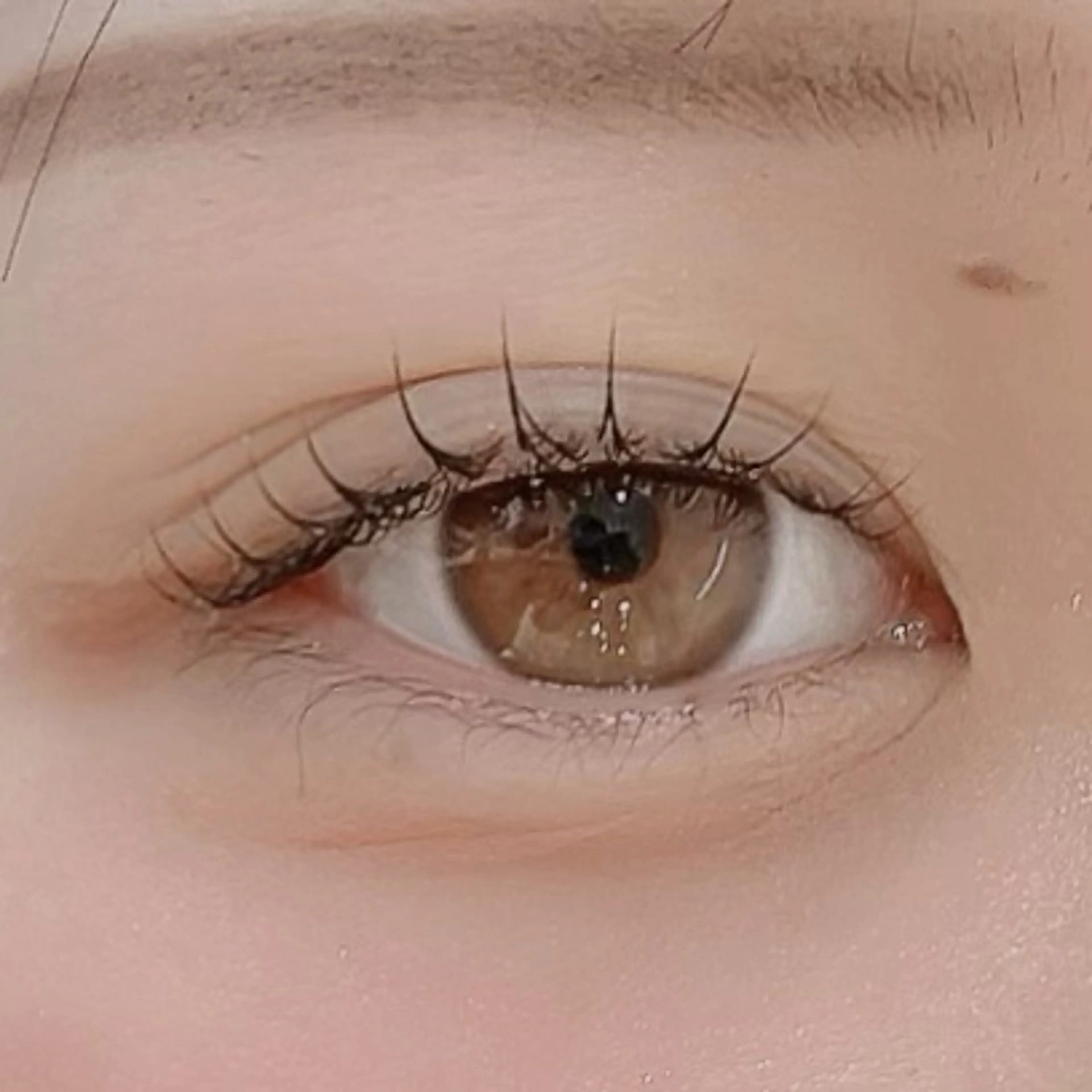 マツエク・マツパ マツパ Luxe ···▸﻿ Seike🐈‍⬛⸒の眉毛・アイブロウイメージ