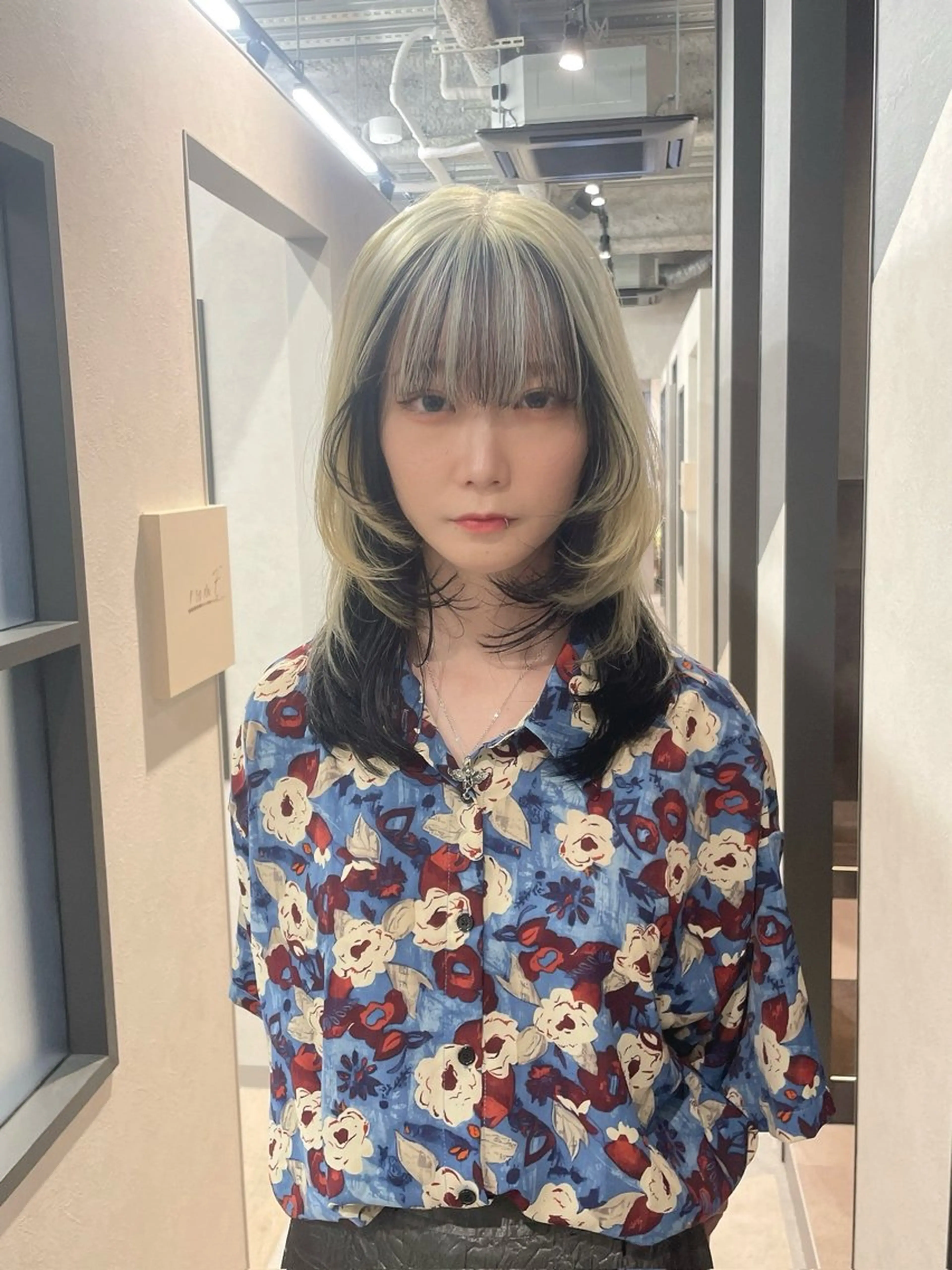 デザインカラー（インナー、イヤリング、ハイライト、ローライト）の写真