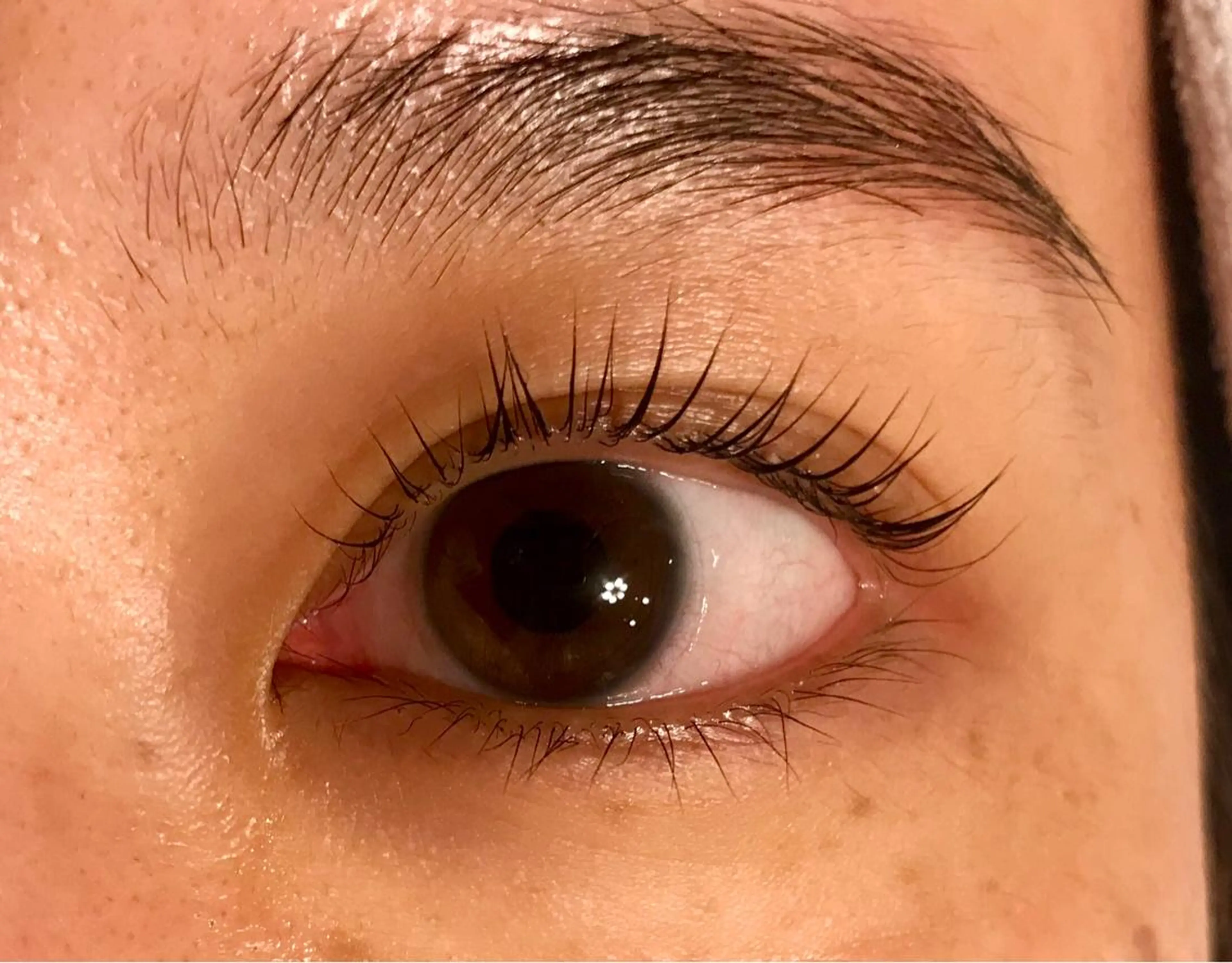 マツエク・マツパ La:coptA (ラ・コプタ)のマツエク・マツパデザイン