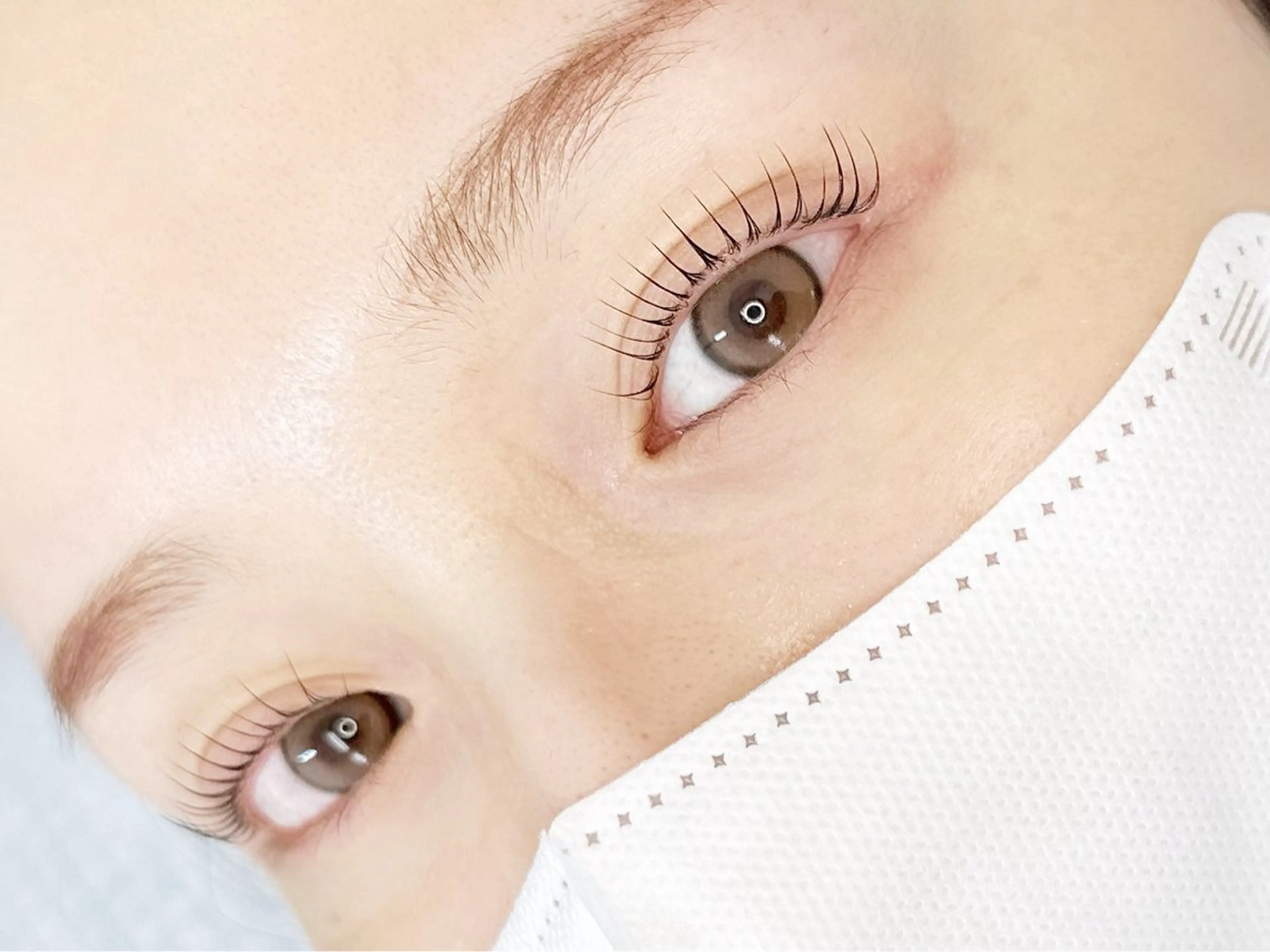 マツエク・マツパ パリジェンヌラッシュリフト LAND【ランド】 小鹿のマツエク・マツパデザイン