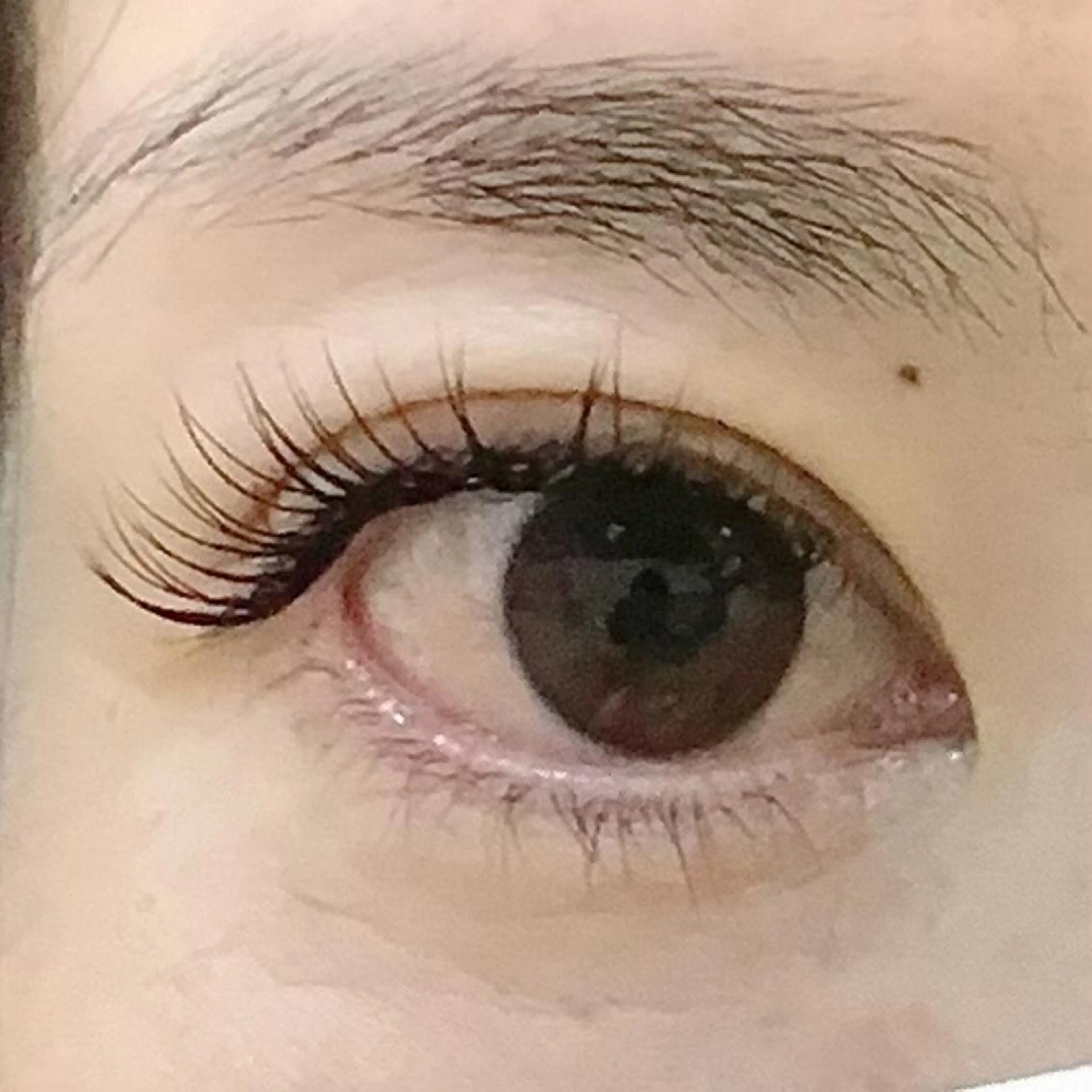 マツエク・マツパ Cカール ナチュラル Luana＋ Kuroiwaのエステ・リラクイメージ