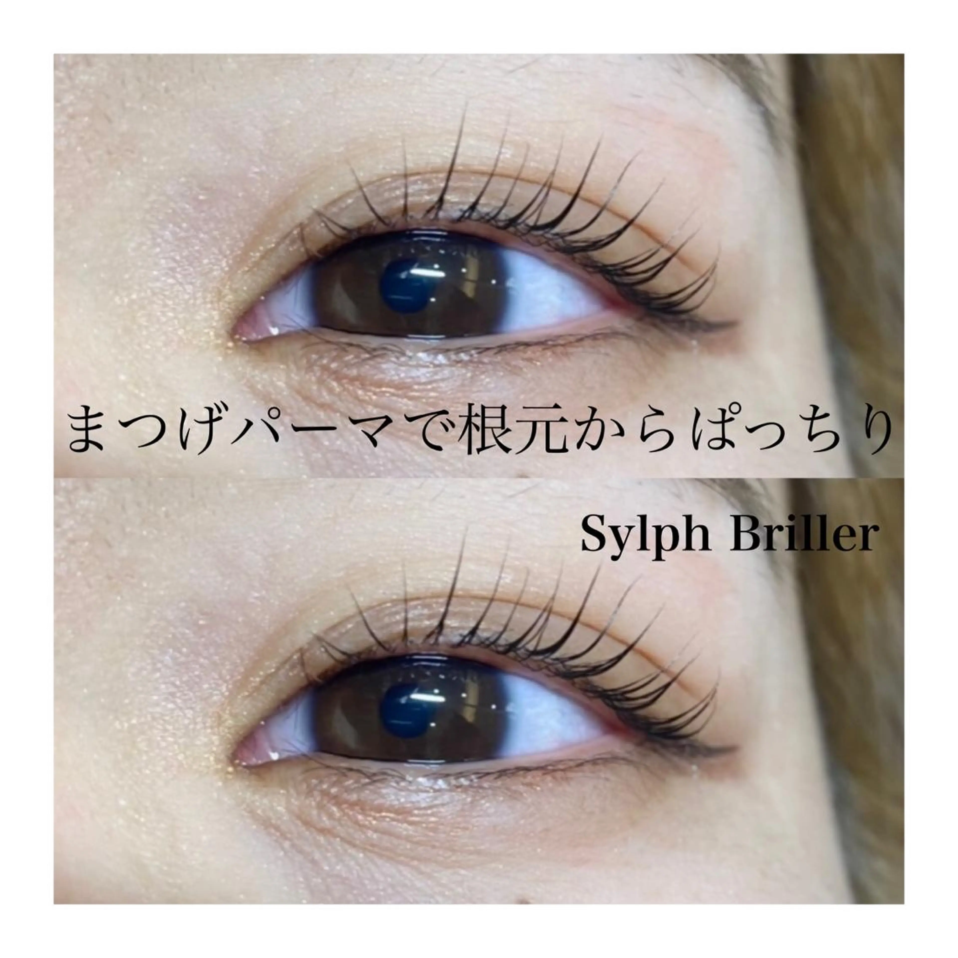 マツエク・マツパ まつげパーマ eternite イトウのマツエク・マツパデザイン