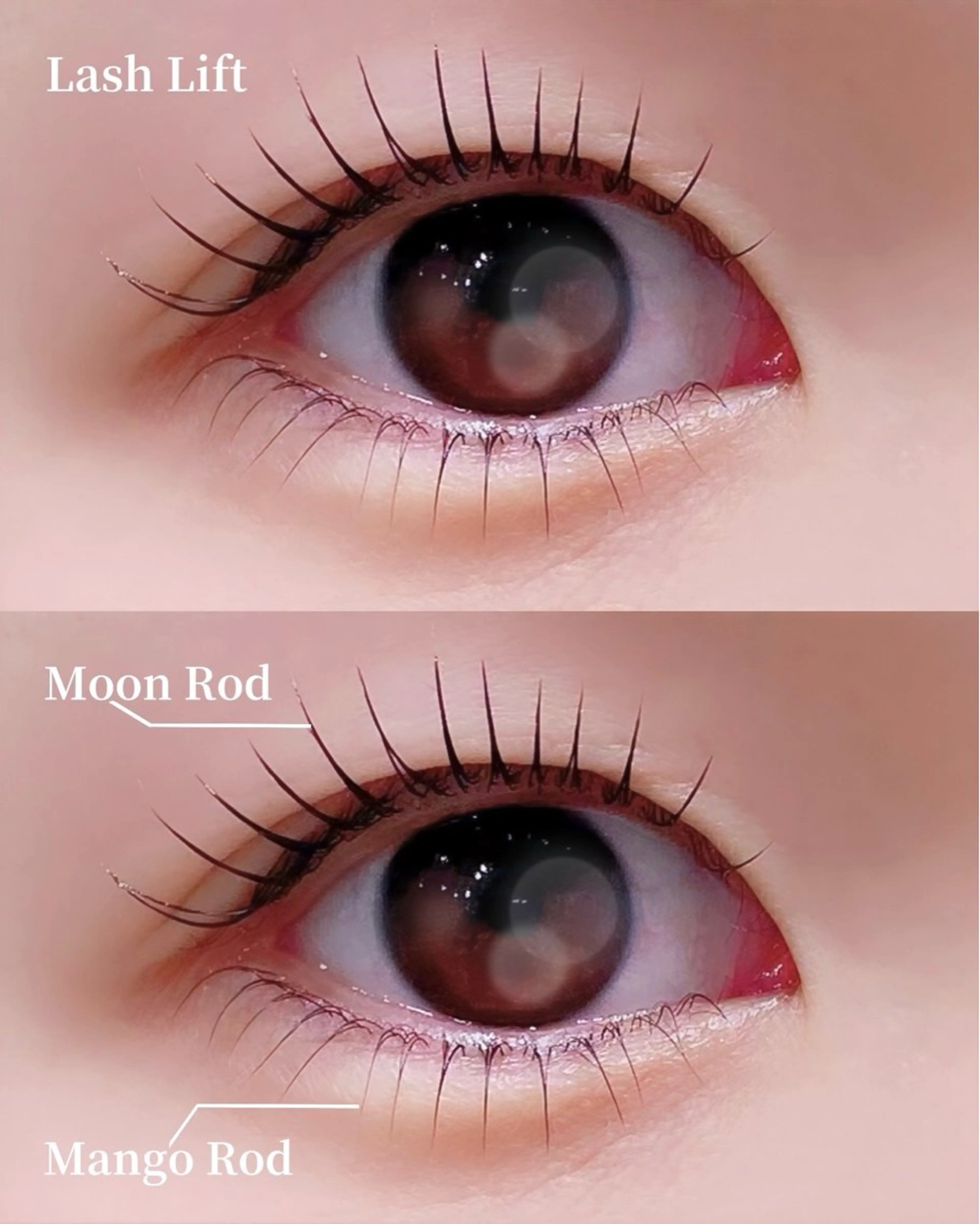 マツエク・マツパ 下まつげエクステ 一重×まつ毛パーマ マツパ シマグチ 🌷 jolie名駅のマツエク・マツパデザイン