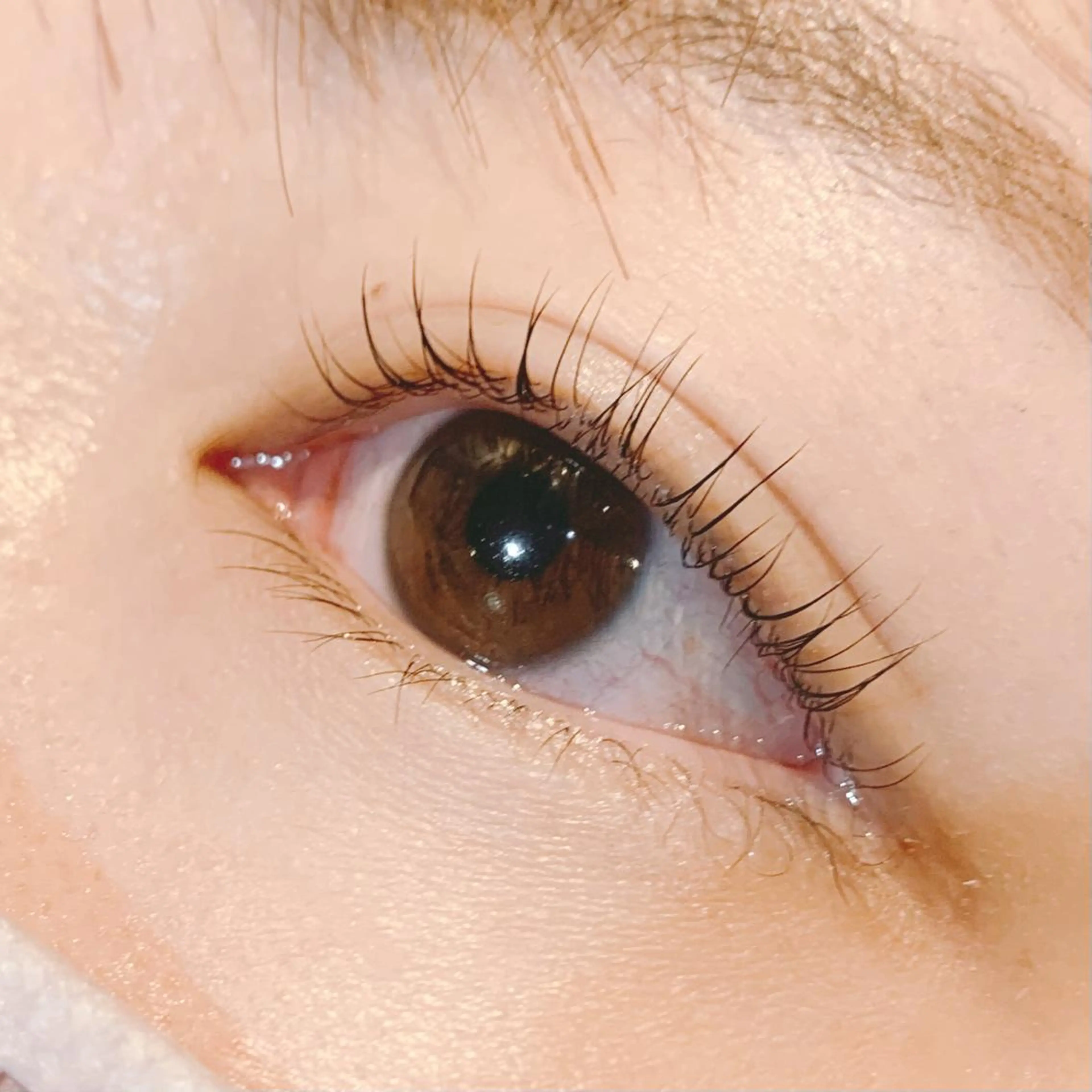 マツエク・マツパ alushe🌼 HIME🌼のマツエク・マツパデザイン