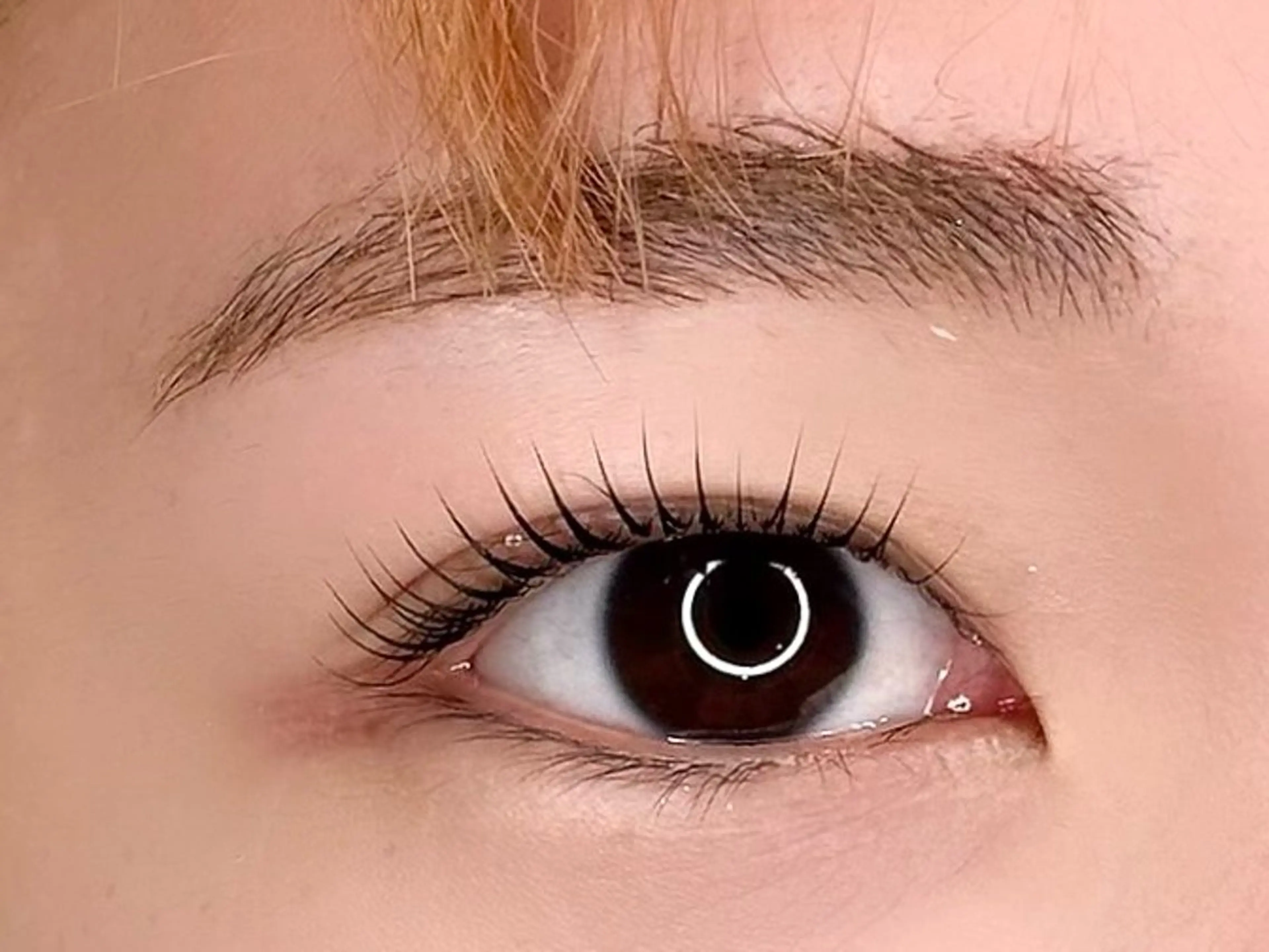 マツエク・マツパ 新小岩　Salon de SUMUU.所属・SUMUU.新小岩店 yuzuri 🦋のマツエク・マツパデザイン