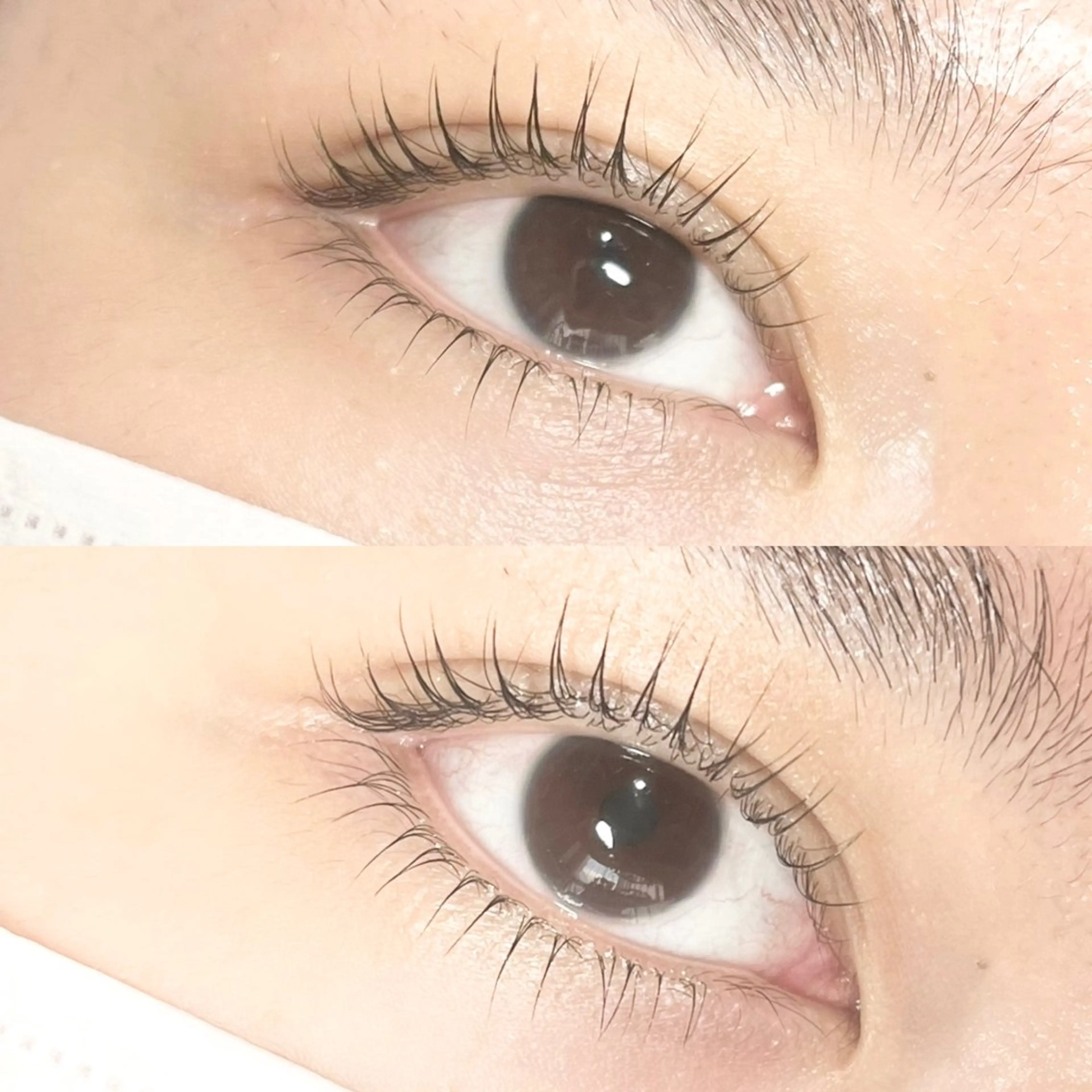 マツエク・マツパ マツパ 岸本 実奈のマツエク・マツパデザイン