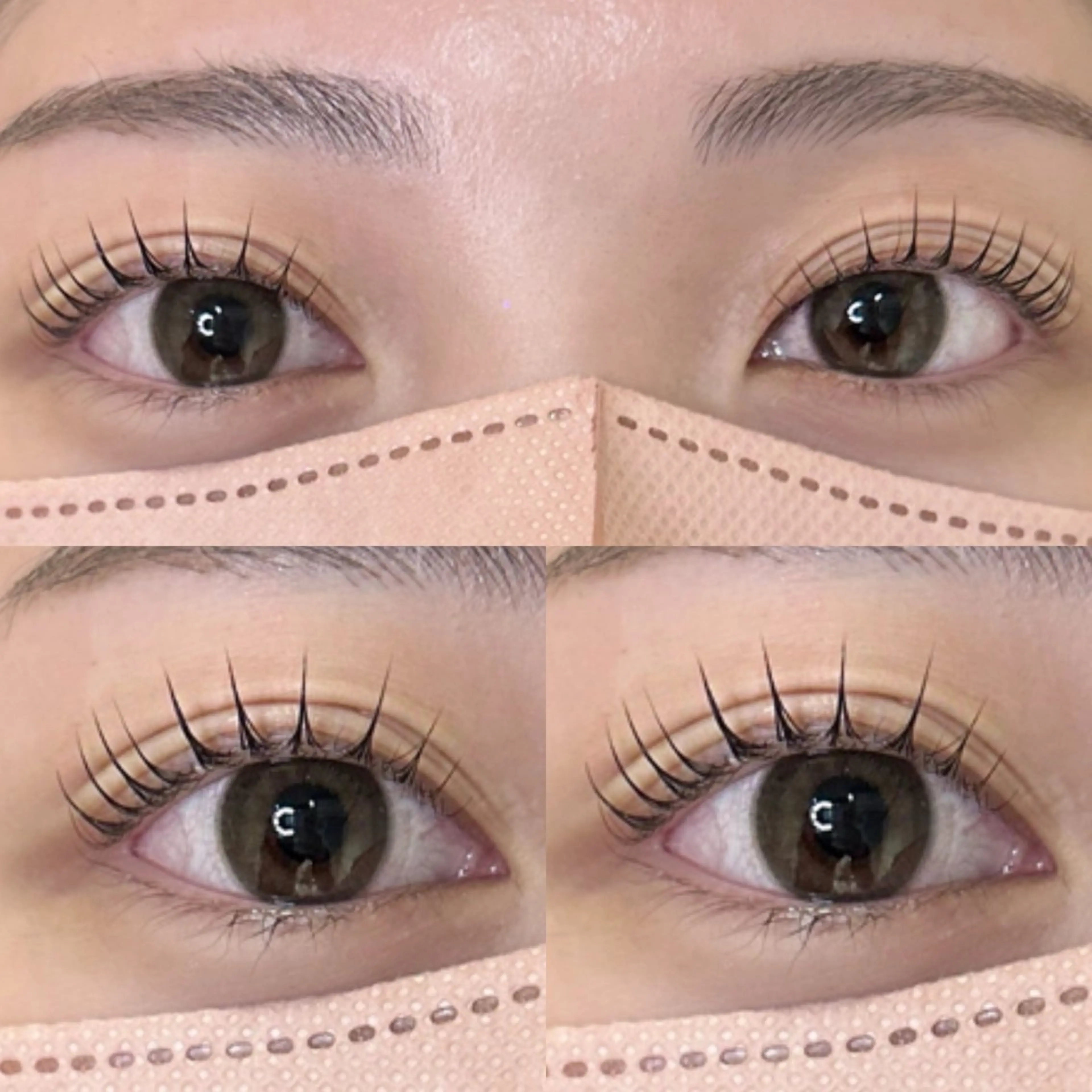 パリジェンヌ（上）🩶の写真