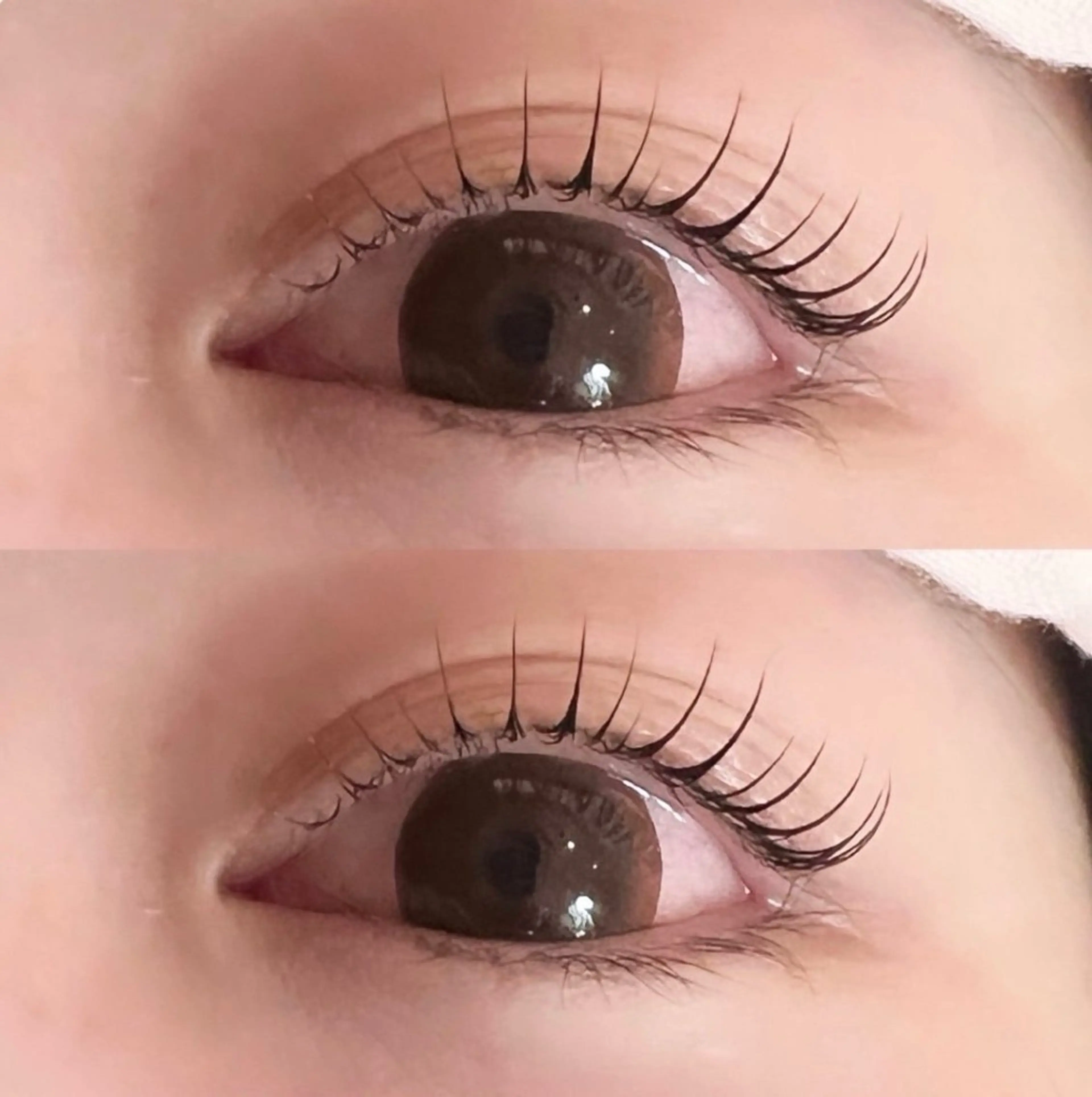 まつ毛パーマ✨️70分(パリジェンヌ変更可 ➕300円)の写真