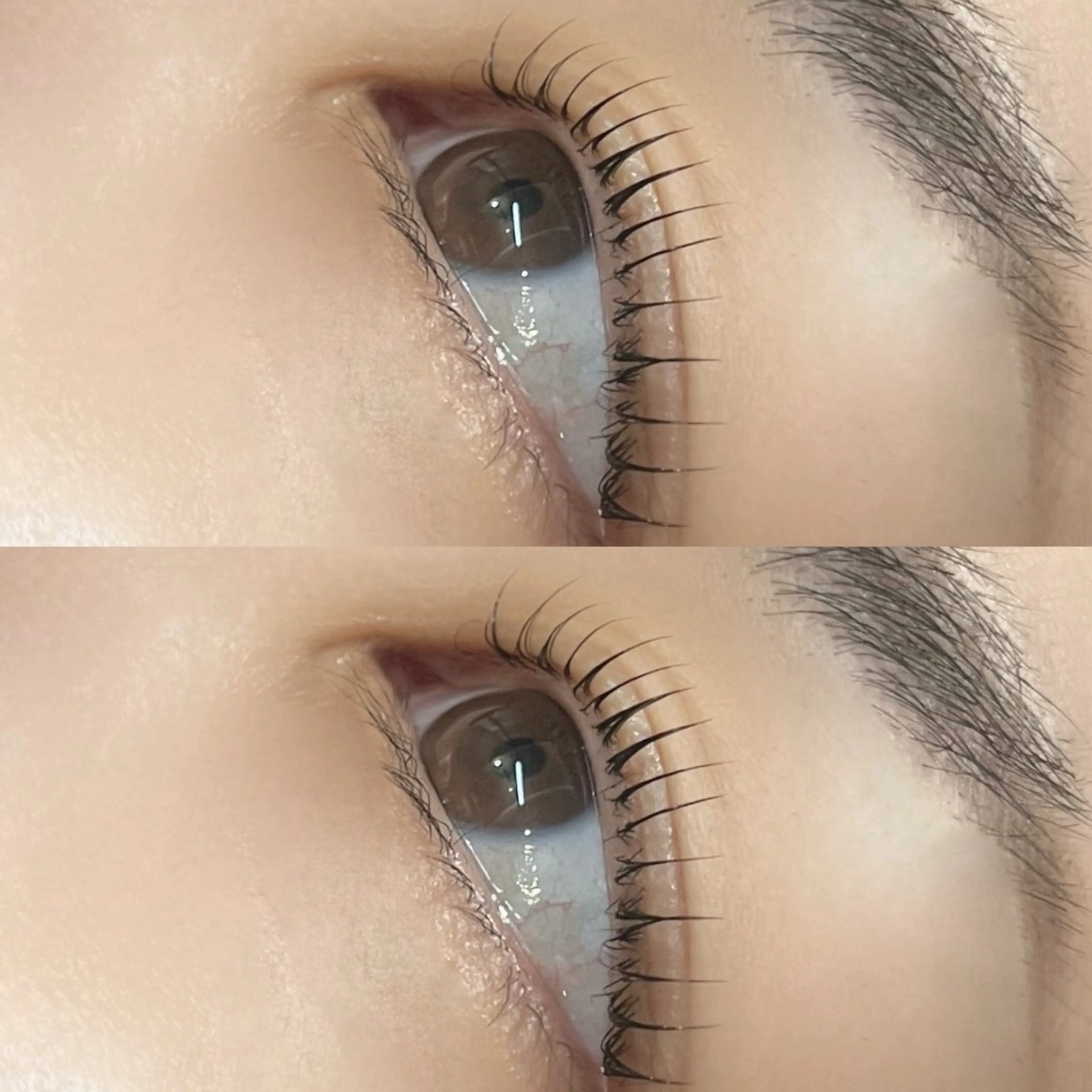 ~3月限定~まつげパーマ(ラッシュリフト)👀✨コーティング付きの写真