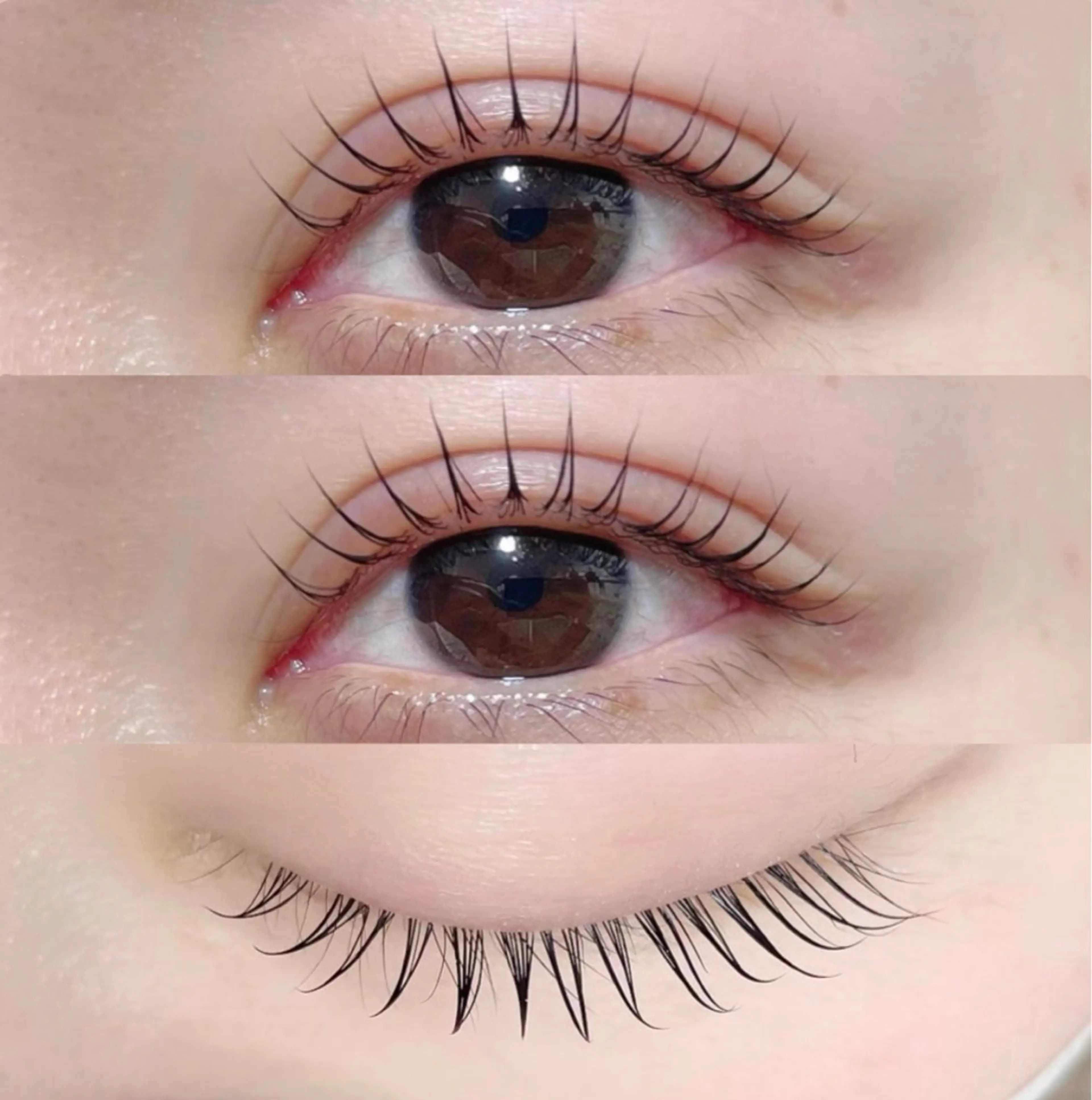 マツエク・マツパ eyelash&eyebrow Erde所属・Erde/ horizoe🕊️の眉毛・アイブロウイメージ