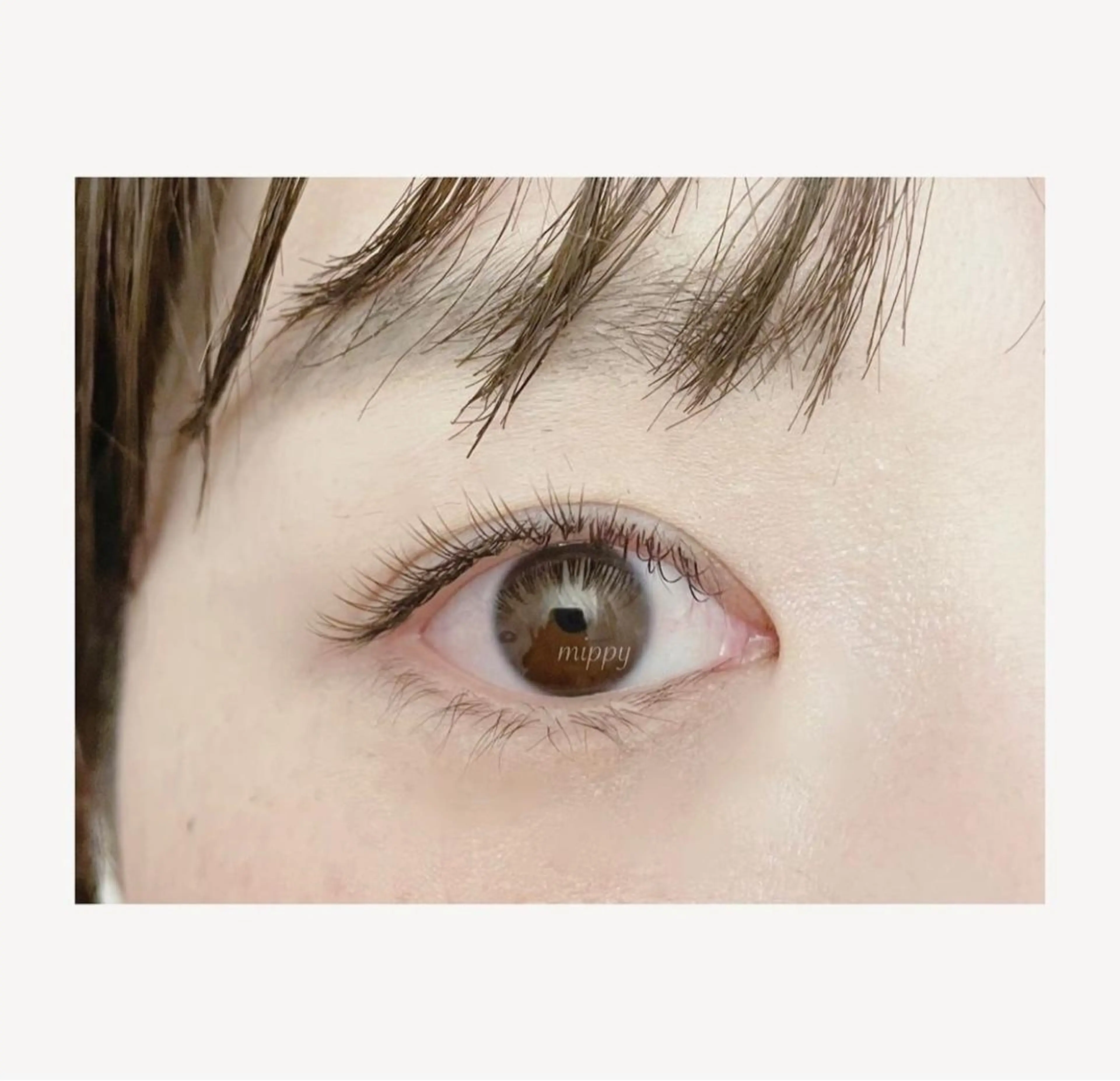 マツエク・マツパ フラットラッシュ ｍｉｐｐｙ 🪽のマツエク・マツパデザイン