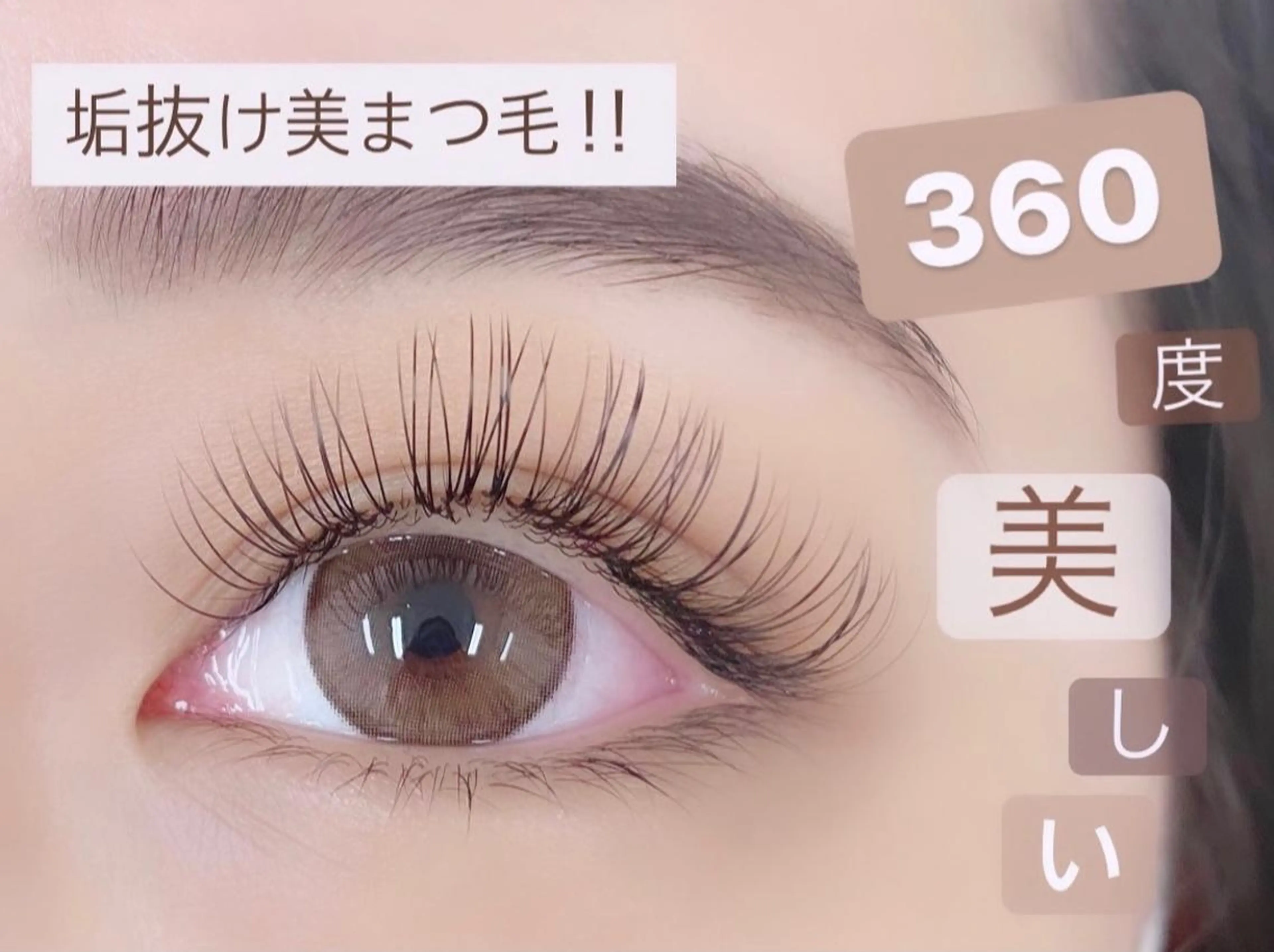 12月29.30.1/5.6.7.8.10.11日限定Jr.eyelist⭐️バインドラッシュ60束♪17時迄♪の写真