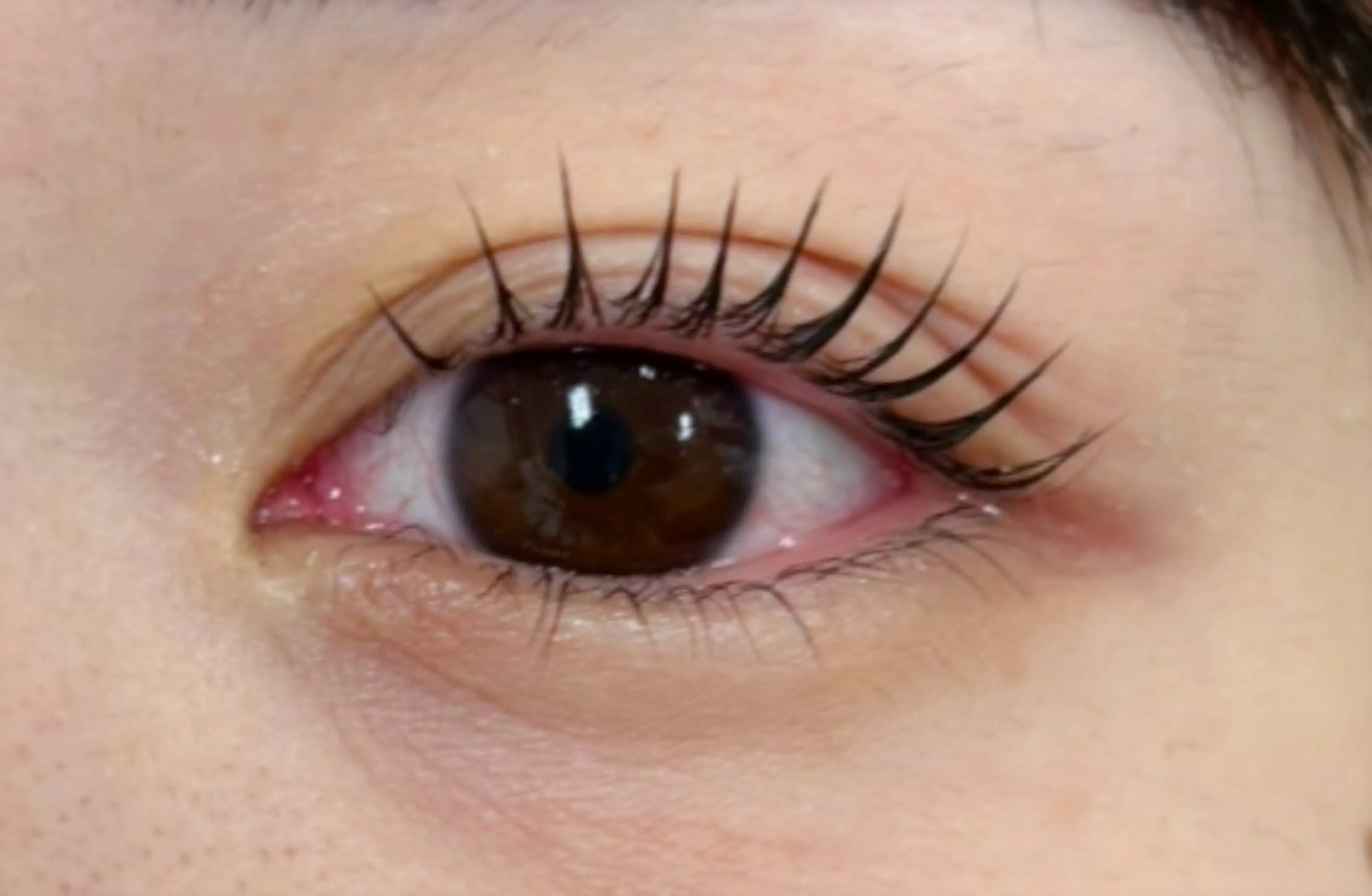 【ご新規様限定】¥1000オフ✨️🤍トリートメント・コーティング付き🤍まつ毛パーマ上下⏱60分の写真