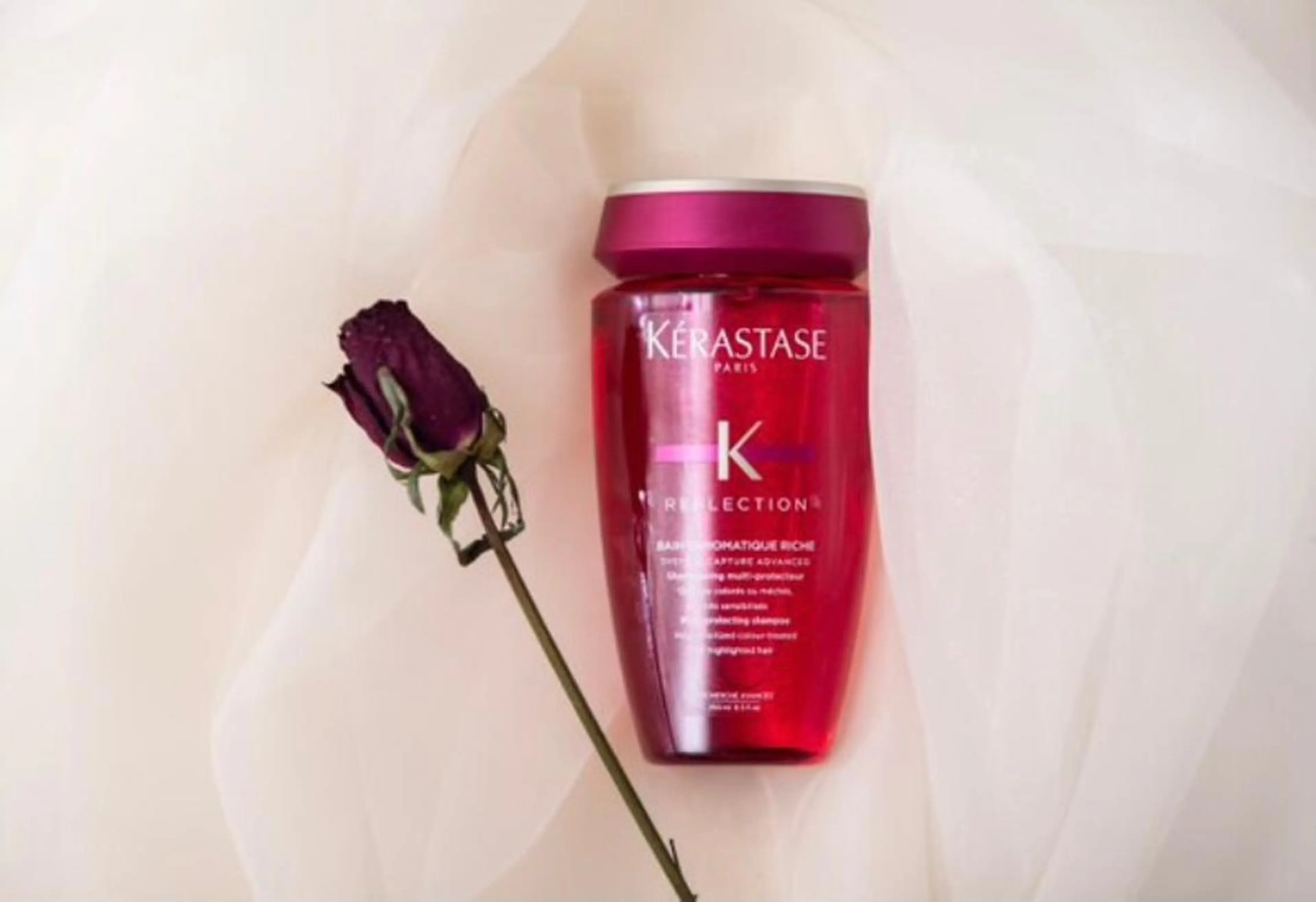 MIA　手嶋 良太のヘアスタイル