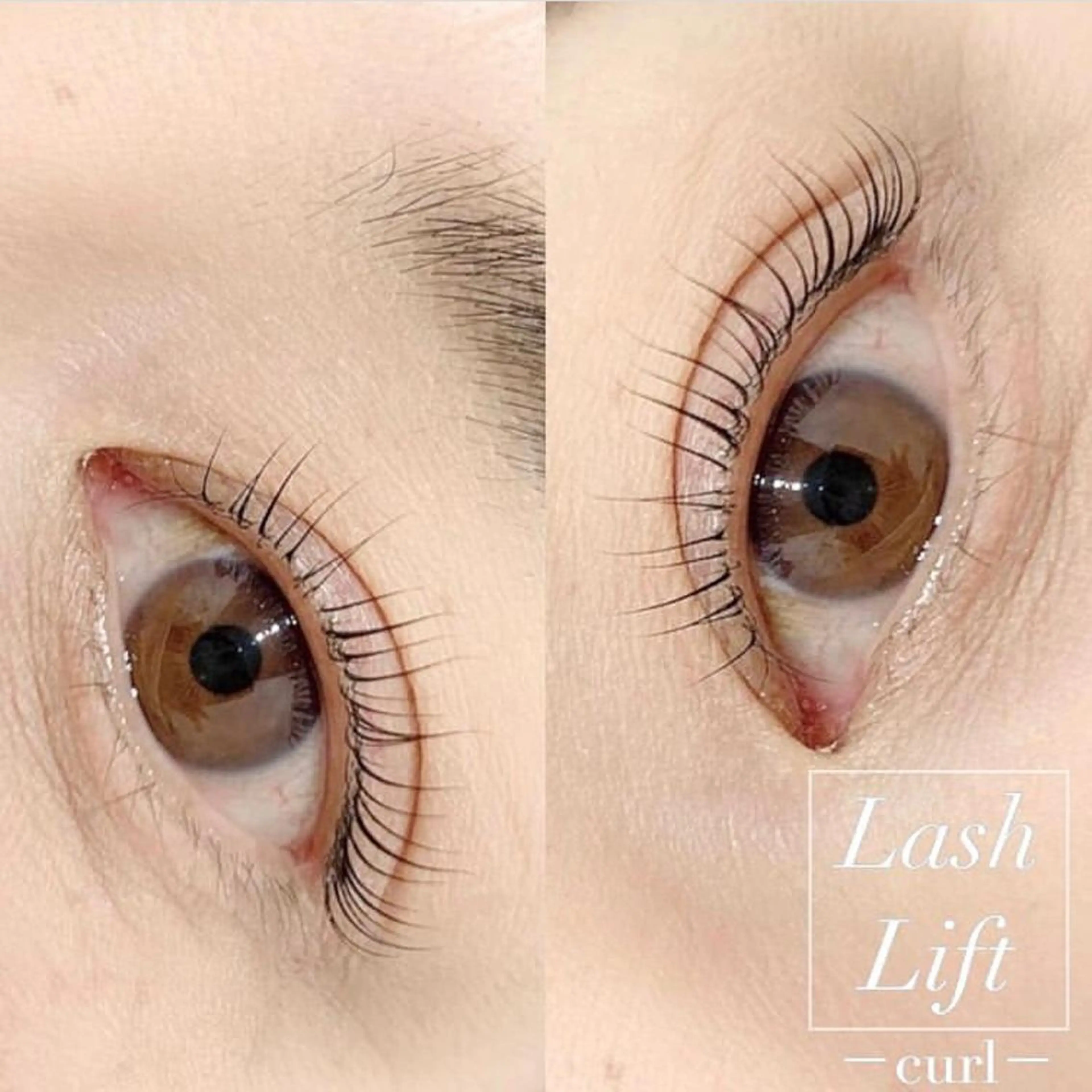 【新規】ラッシュリフト🧸（オフ無料）の写真