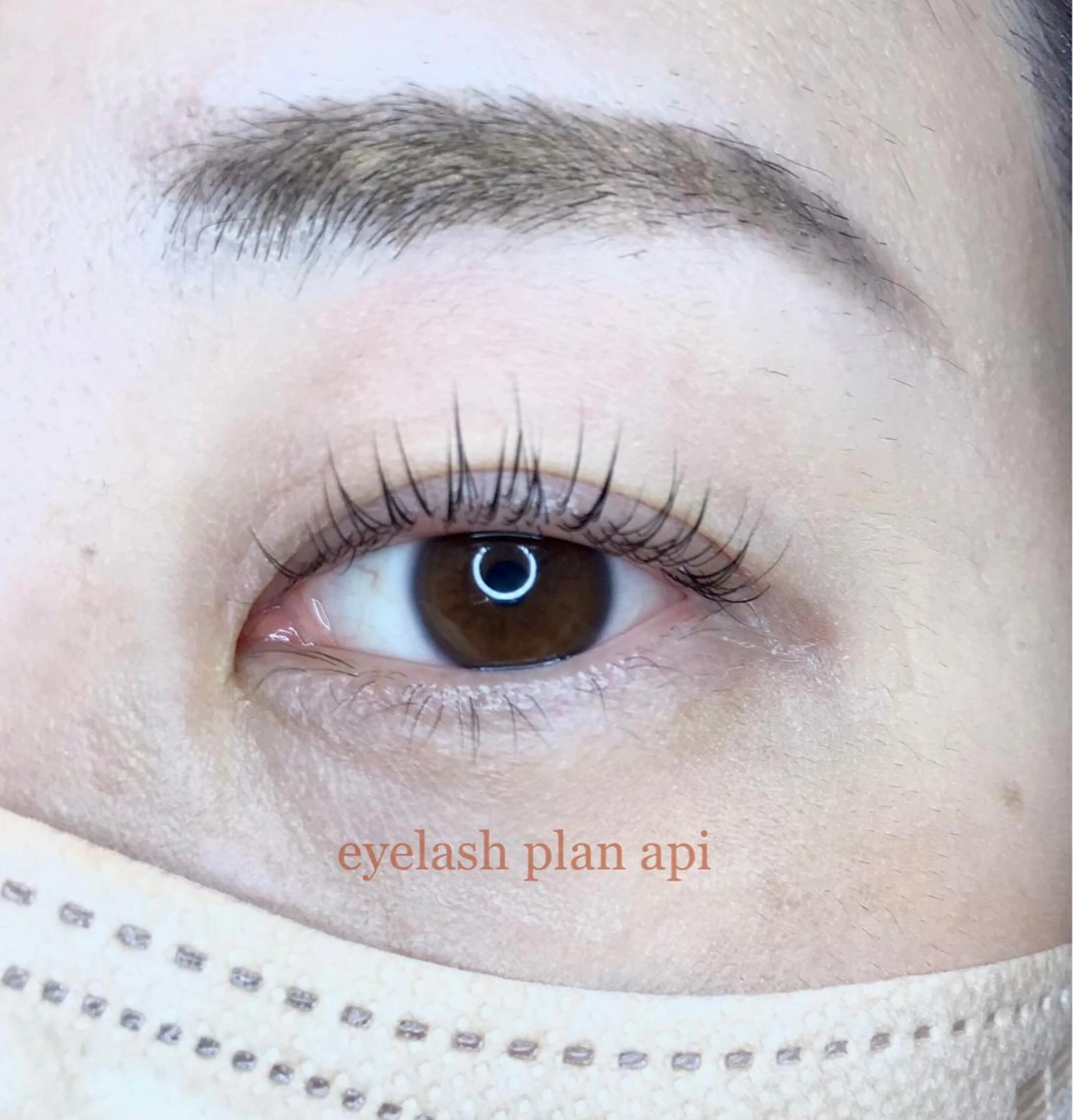 マツエク・マツパ 《eyelash ｉｉｔｅ》森のマツエク・マツパデザイン