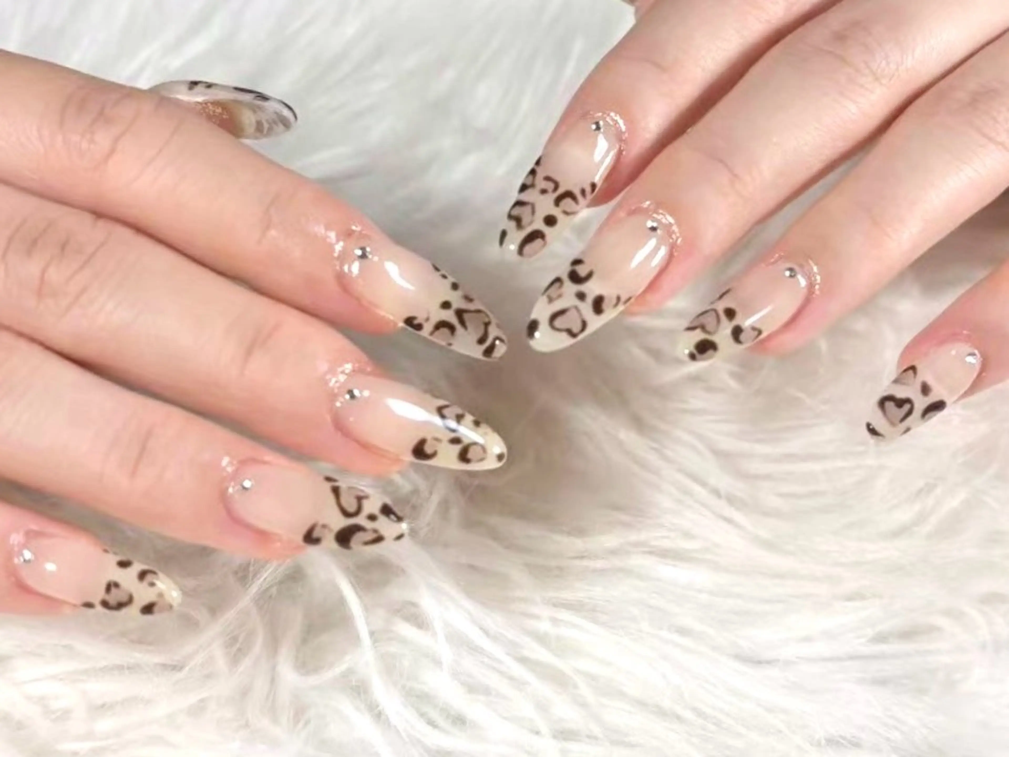 ãã€ã« ãã³ããã€ã« ðð®ðŠð ⥠ððð¢ð¥ã®ãã€ã«ãã¶ã€ã³