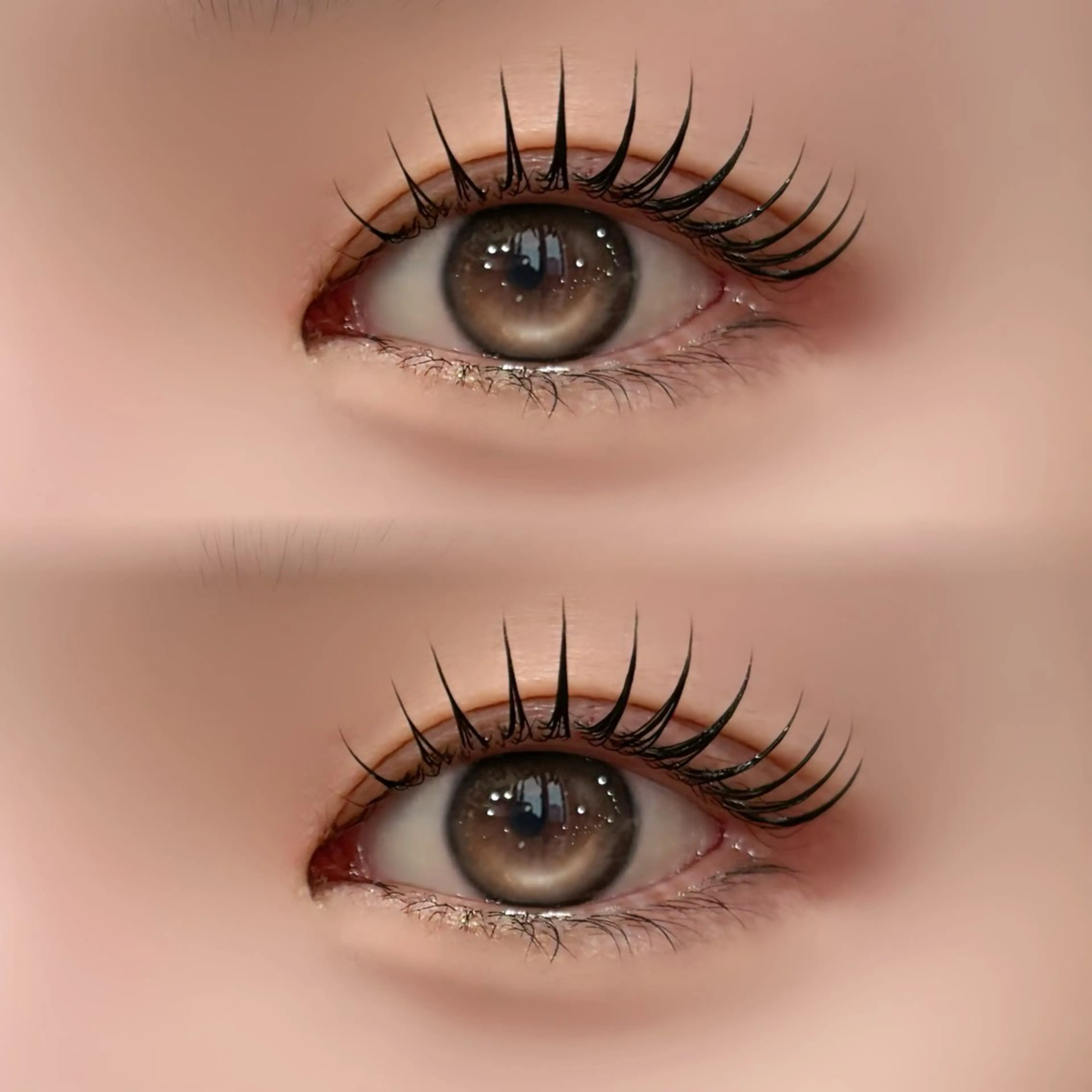 【 大人気❤️セットメニュー 】 美眉スタイリング+上まつげパーマ✨の写真