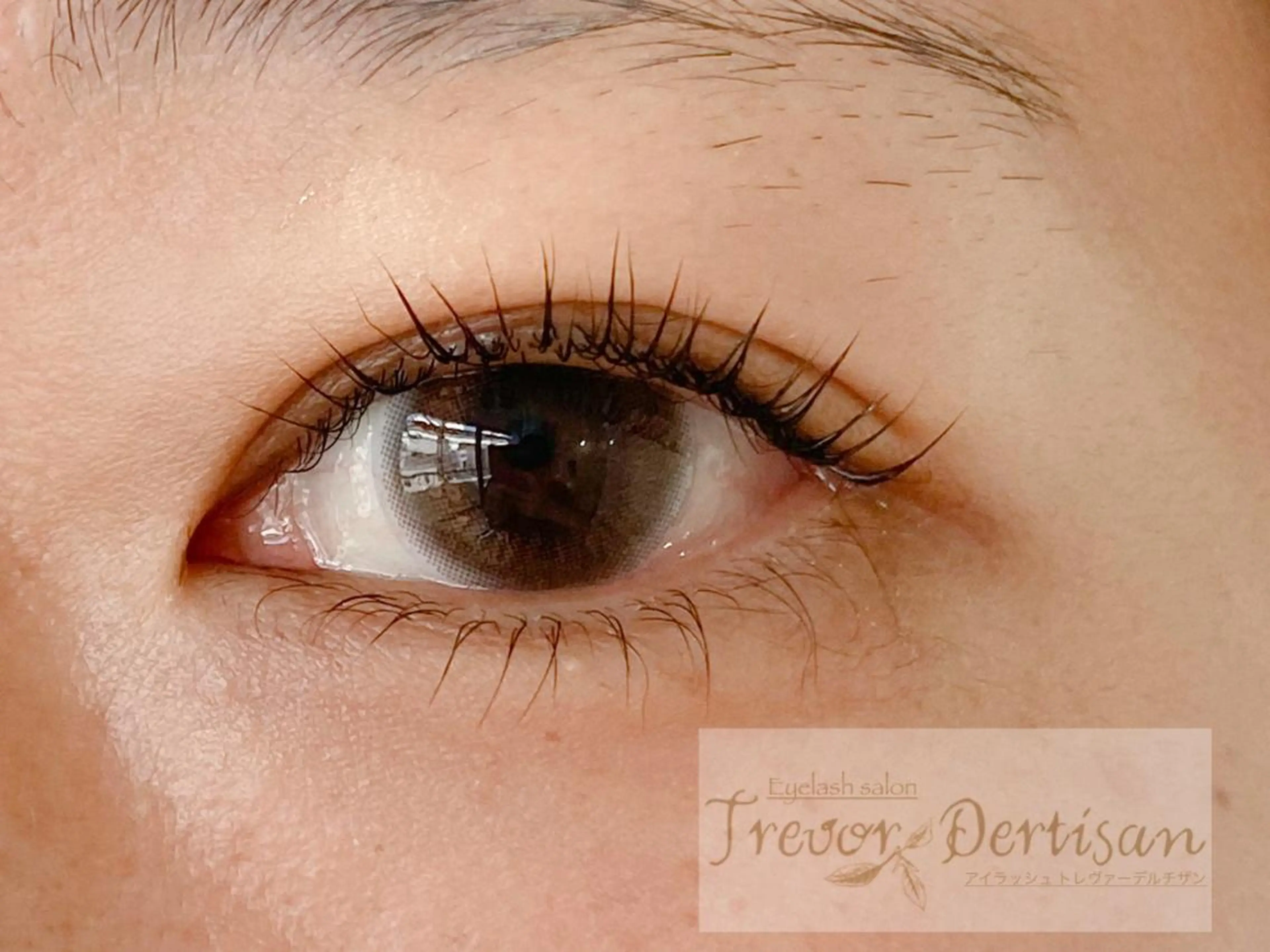 マツエク・マツパ マツパ トレヴァーデルチザン inuiのマツエク・マツパデザイン