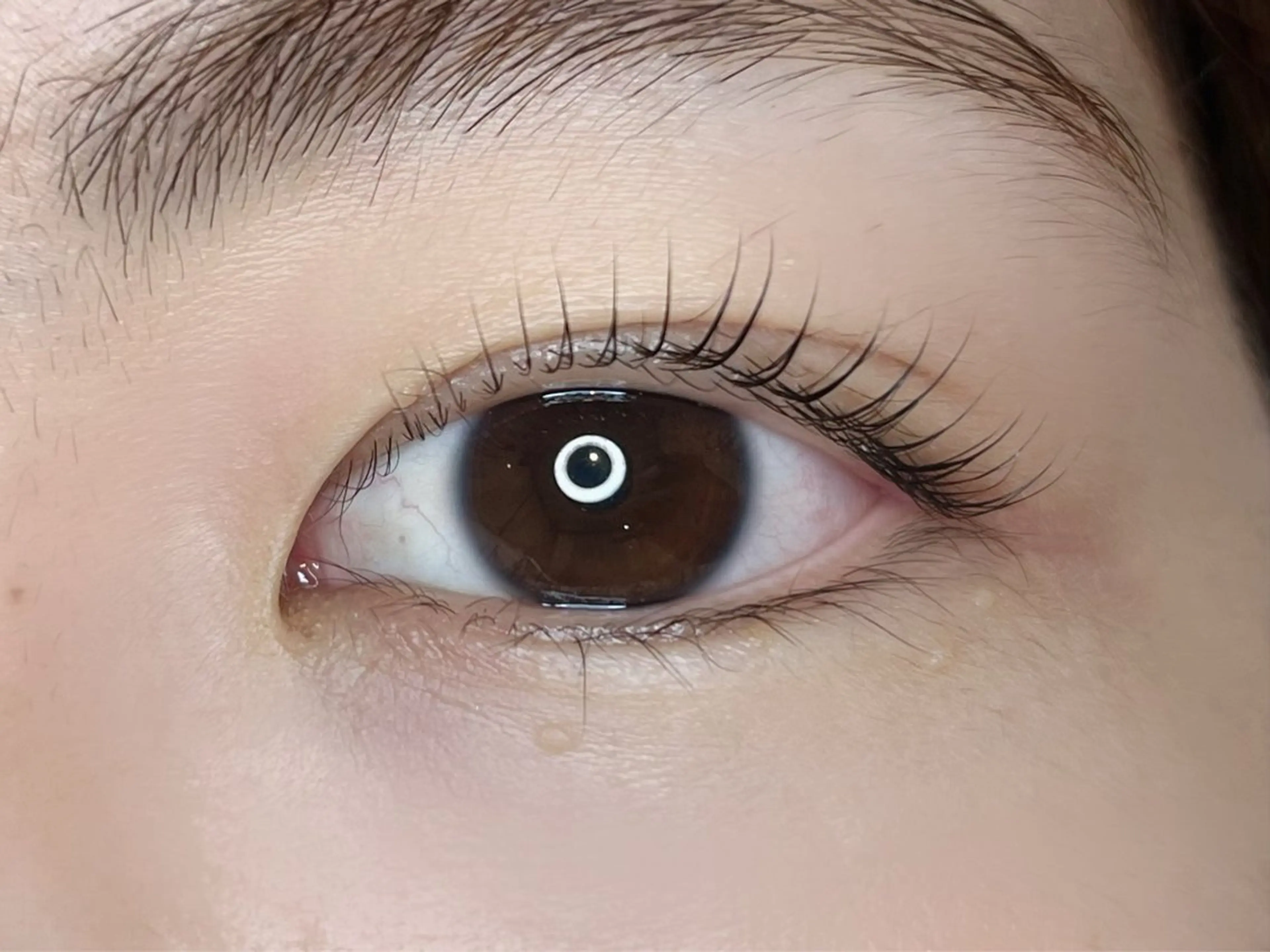 マツエク・マツパ 韓国風マツエク パリジェンヌラッシュリフト maisondecharme所属・charme TOMOYOのマツエク・マツパデザイン