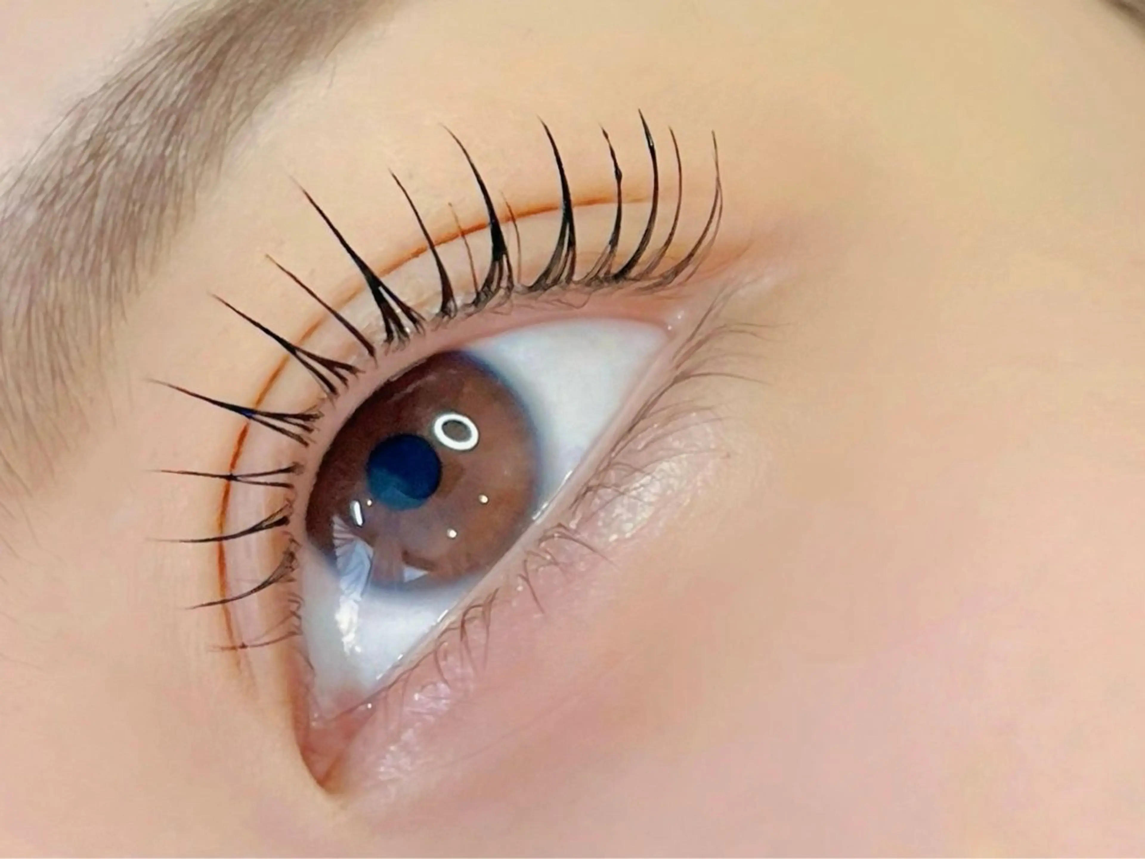 【初回限定】まつげパーマ上下♥️デザイン豊富🌈人気の束感✨コーティング仕上げ♪[心斎橋駅/長堀橋駅]の写真