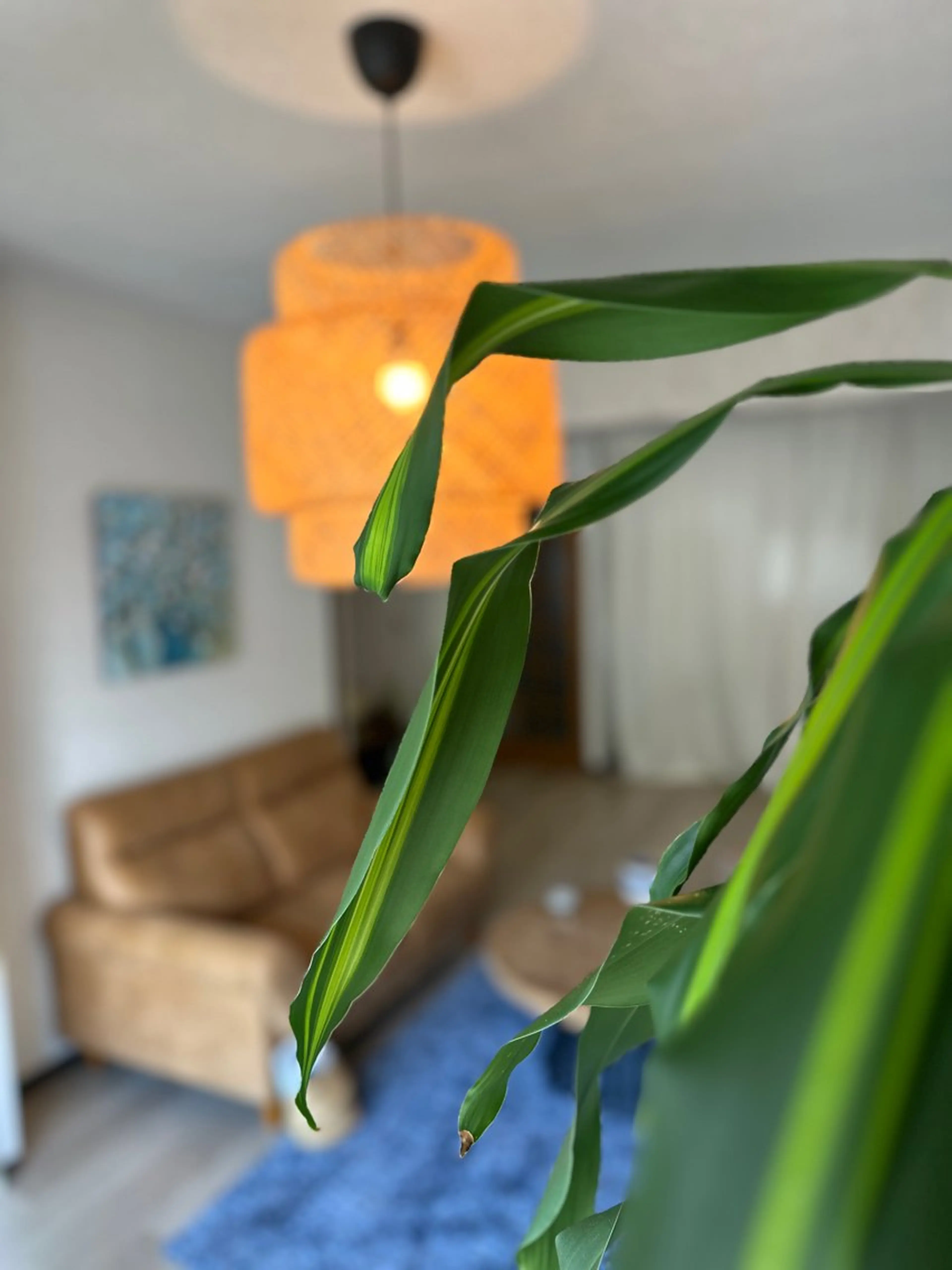 oyam オヤムのエステ・リラクイメージ