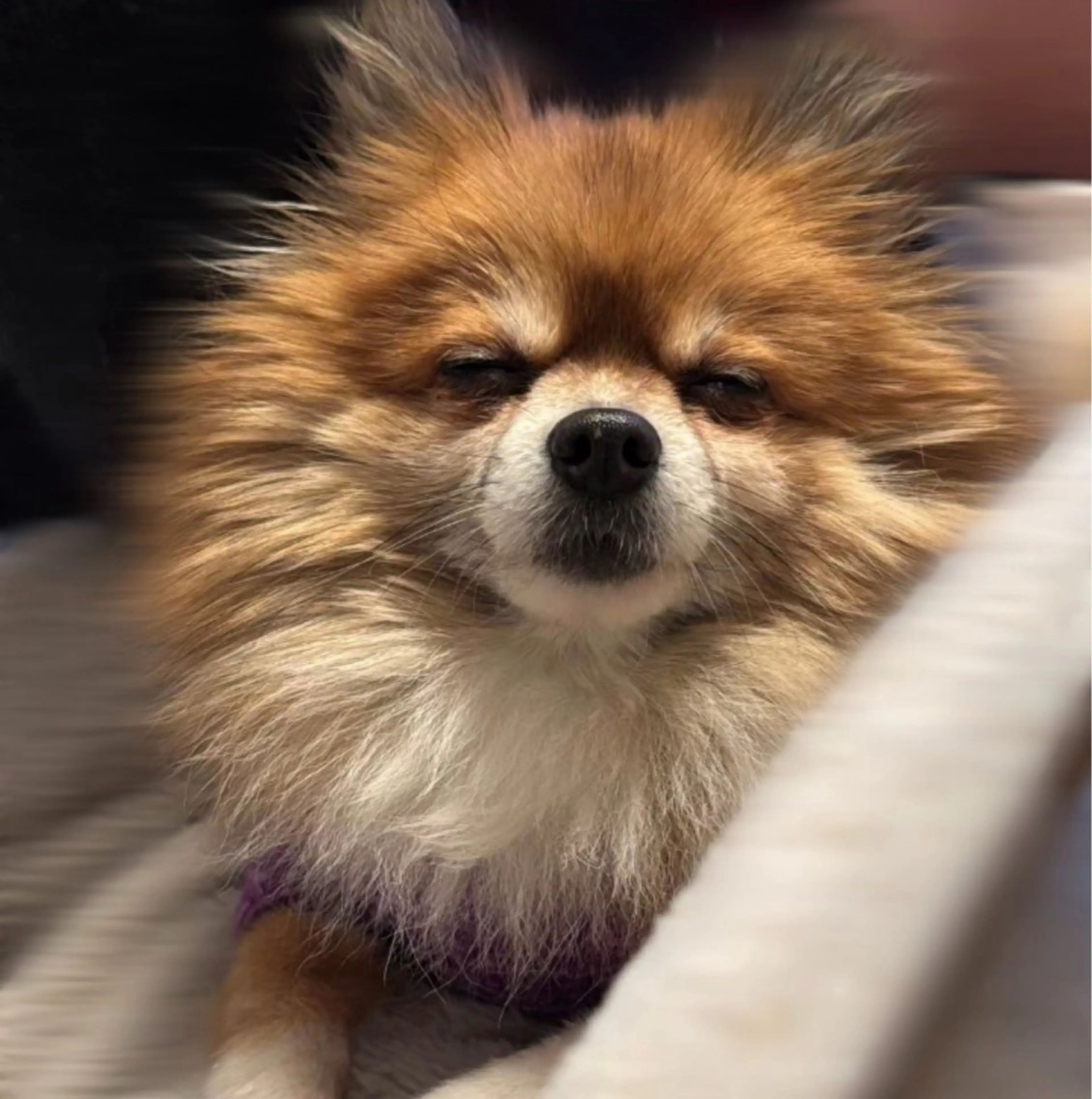 松本｜似合わせ眉 ×まつげパーマ×ヘアの眉毛・アイブロウイメージ