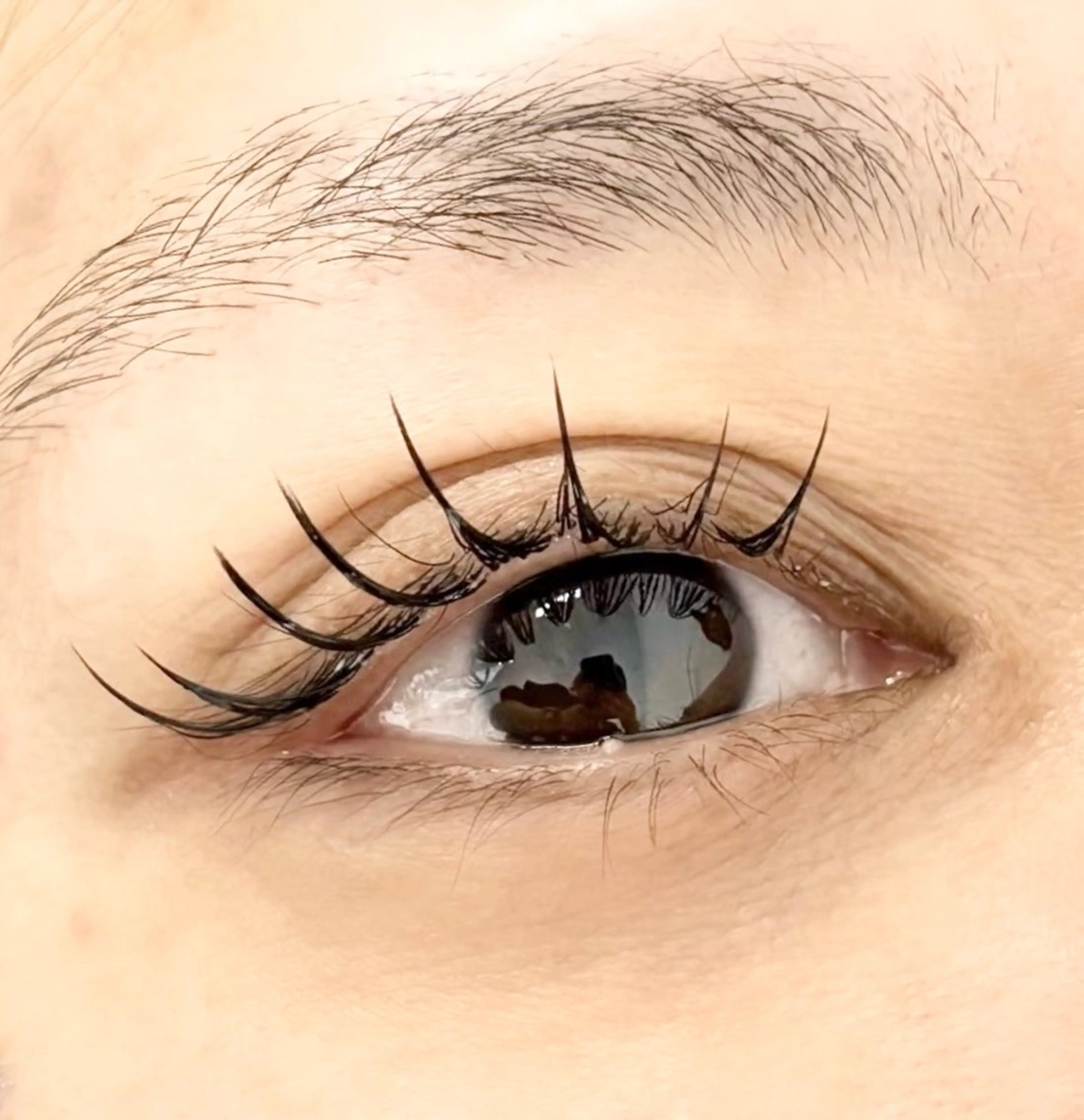 フラットラッシュ120本orダブルフラット120本（60束）の写真