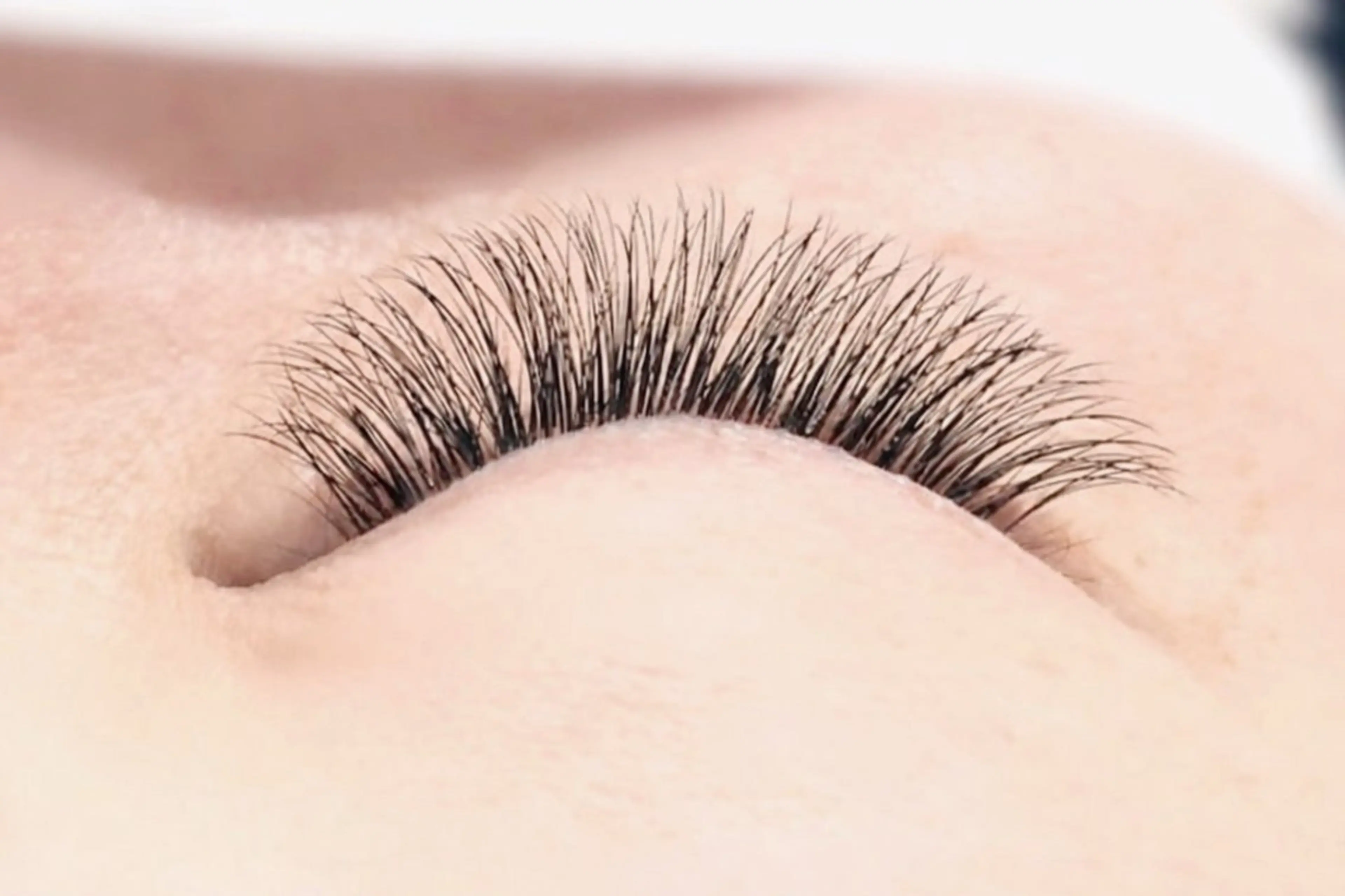 ボリュームラッシュ💫120束 / 通常¥6400→¥5900の写真