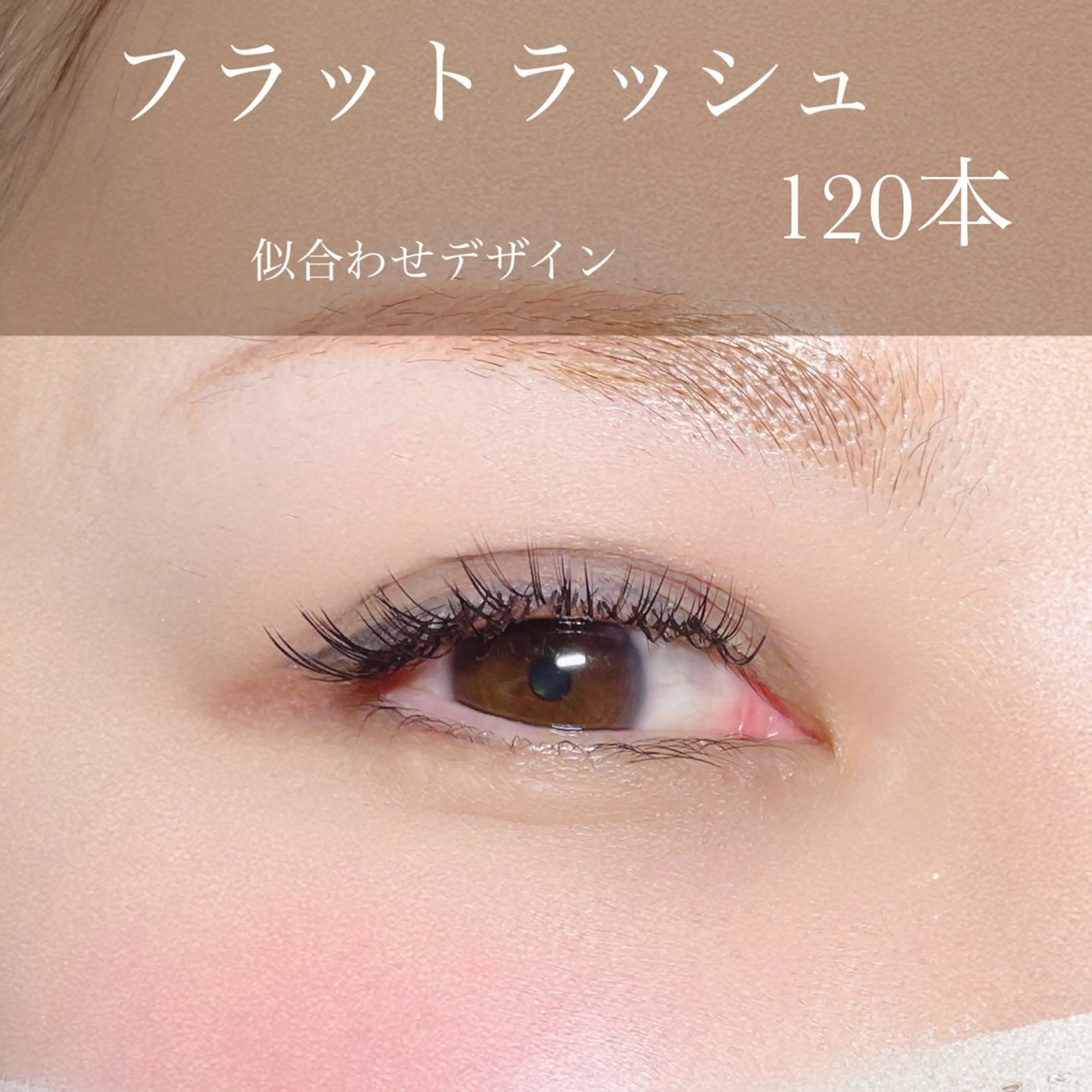 フラットラッシュ120本の写真