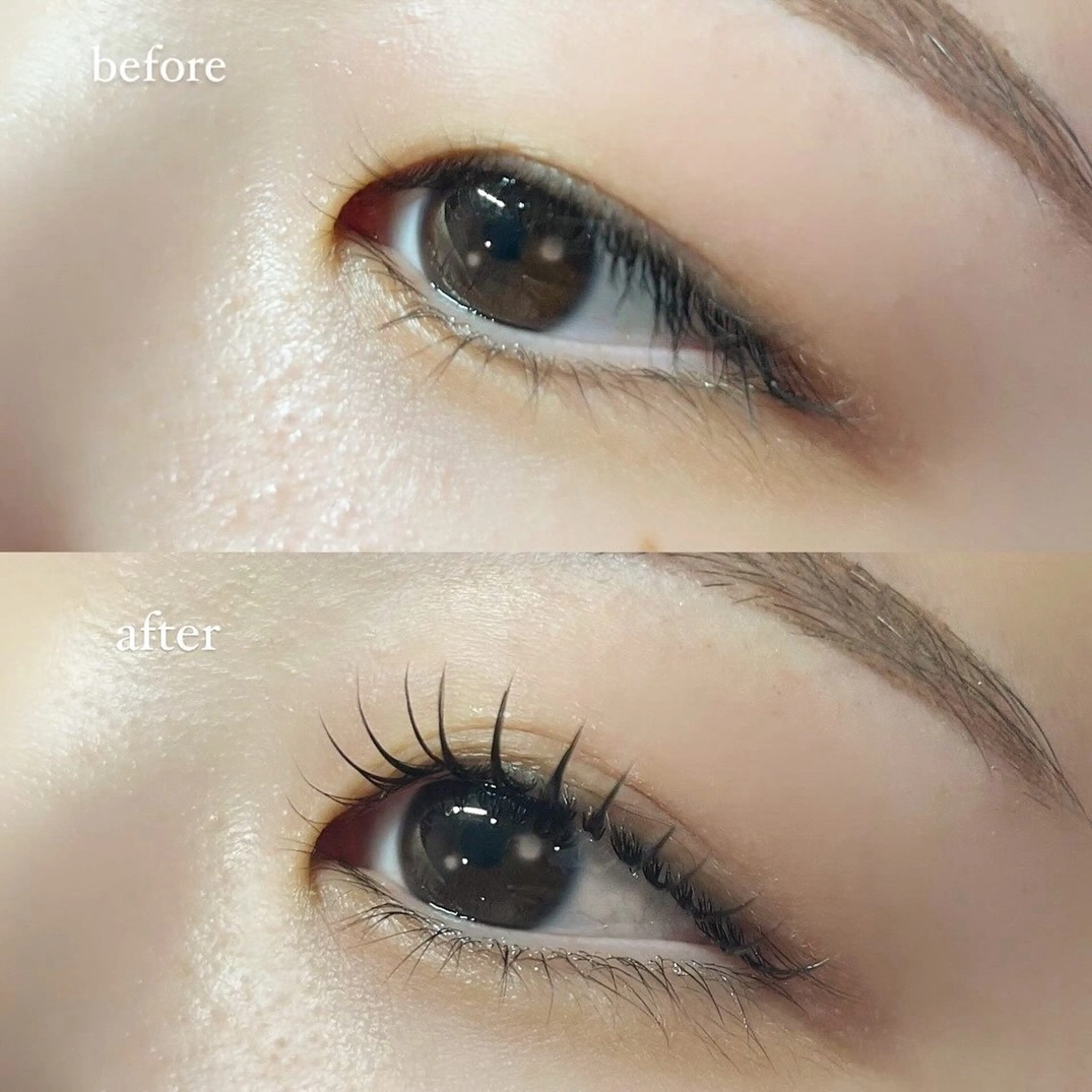 LEDで付けるパリエクorエクパ130本​〜​150本⋆.౨ৎ˚.⟡˖ ࣪の写真