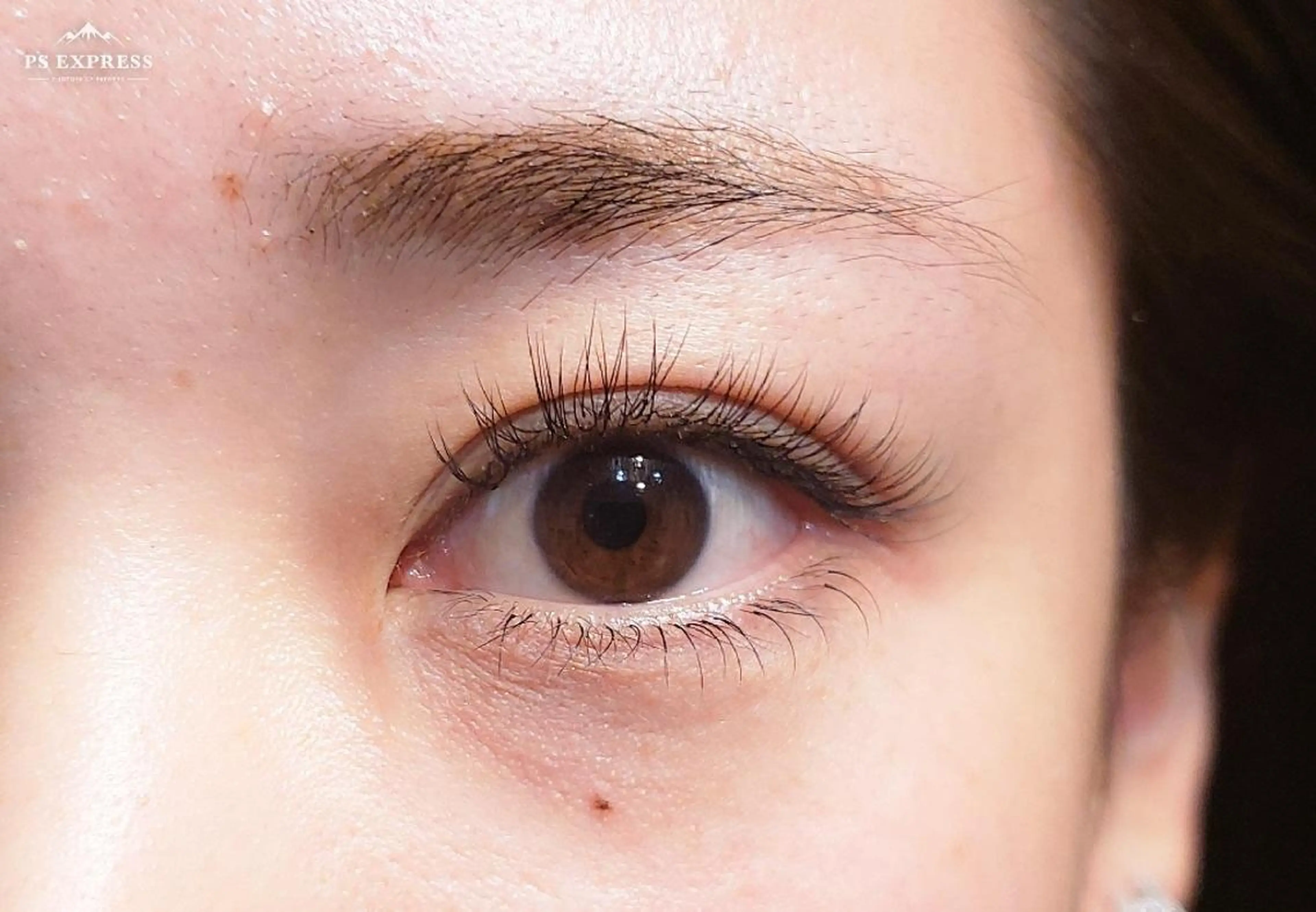 マツエク・マツパ Cカール ナチュラル マツエク アイラッシュ コペル【Copel】所属・個室サロンcopel 　kishimotoのマツエク・マツパデザイン