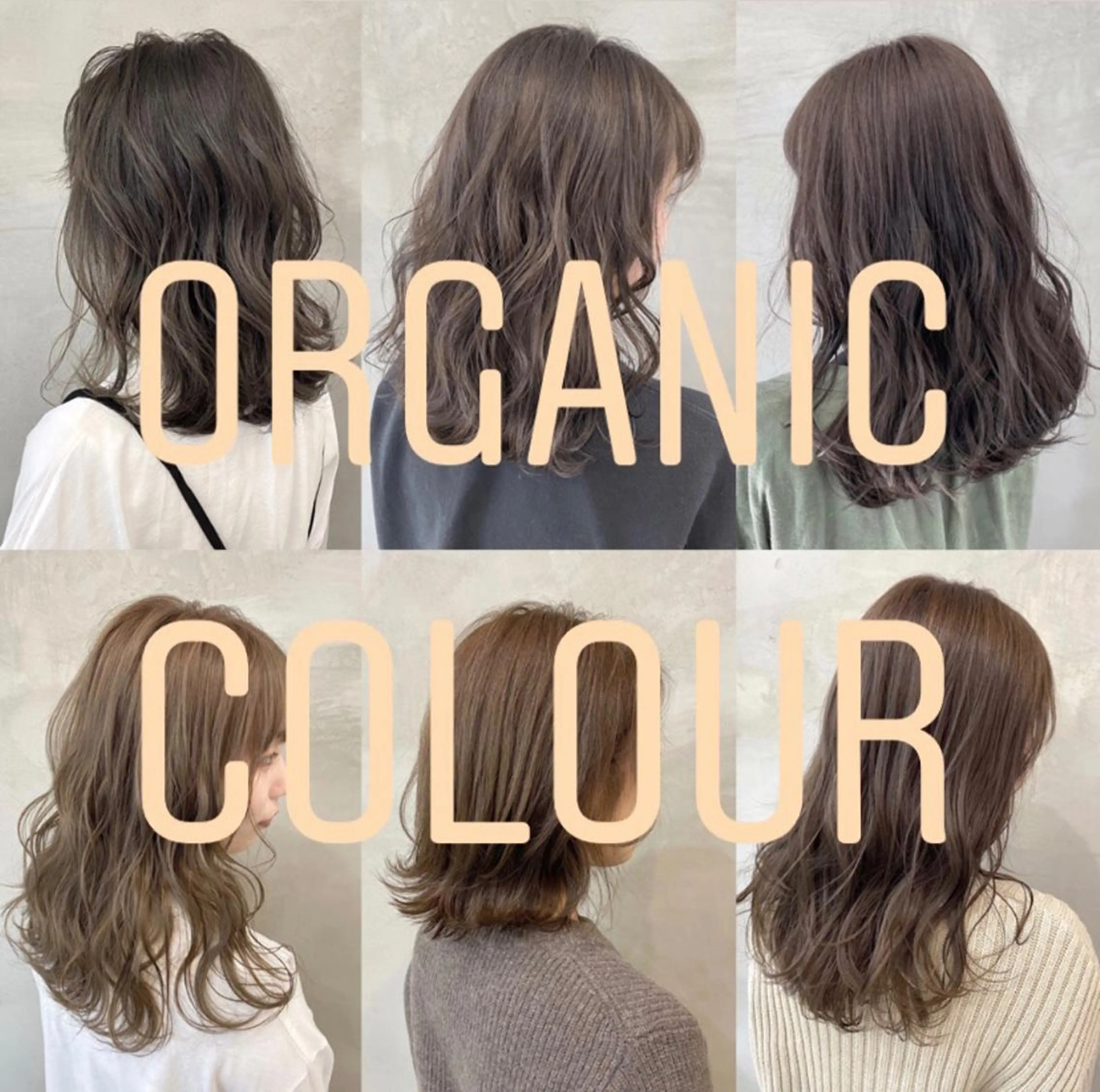 🌿オーガニックカラー🌿の写真