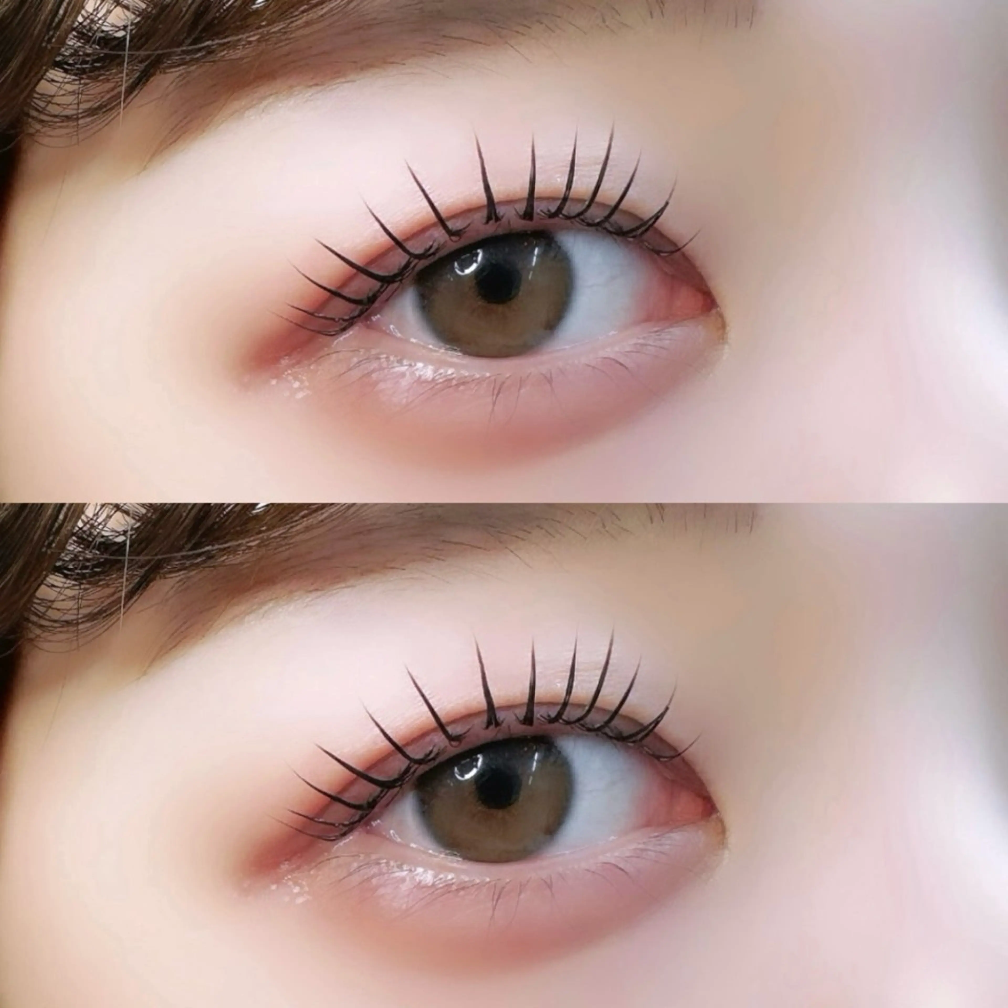 🎀 ご新規様 🎀 《マスカラパーマ》パリジェンヌor ラッシュリフト+ブラックティントの写真