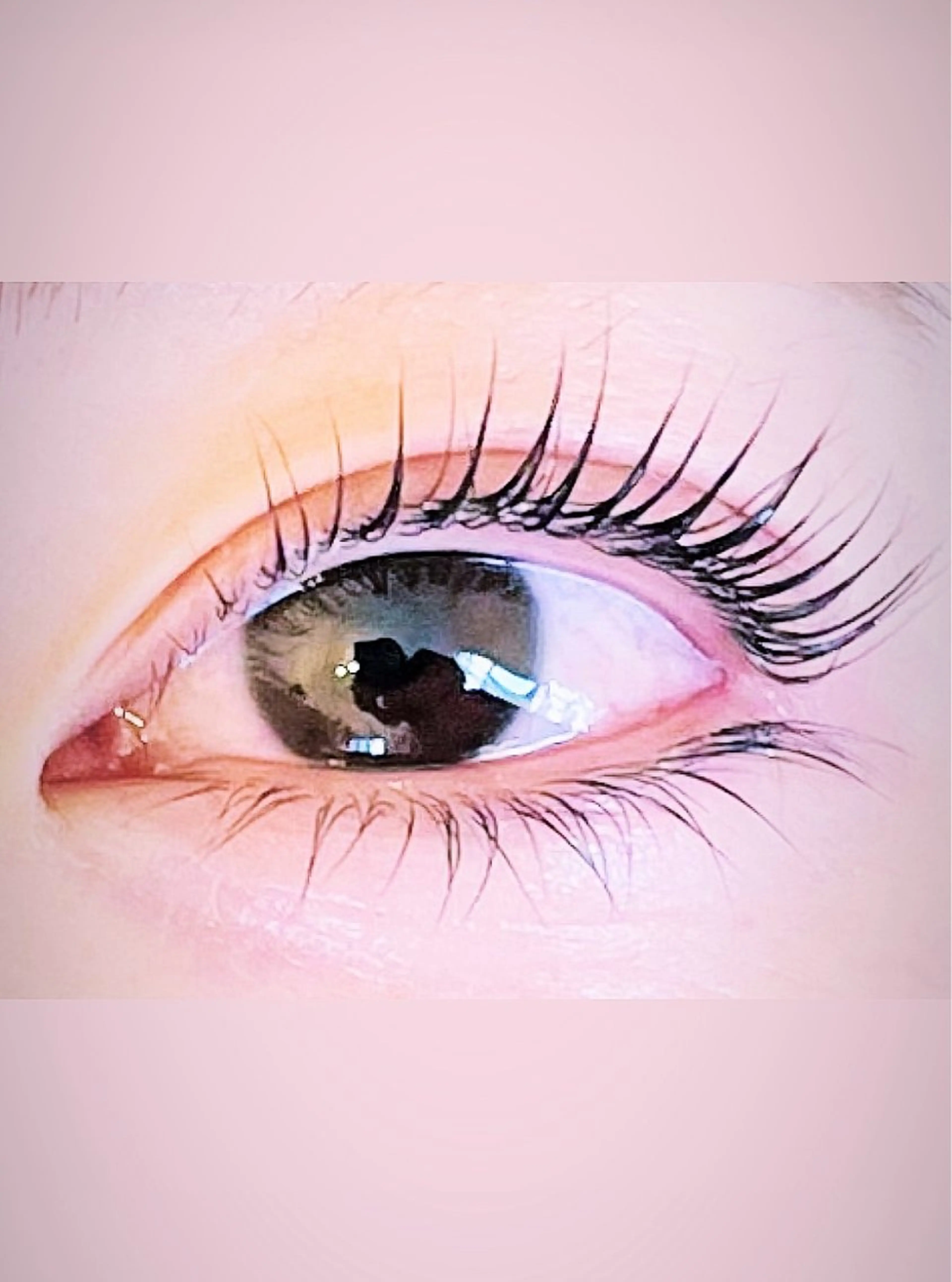 🌈ミニモ学割🌟Ｕ２４韓国マスカラパーマの写真