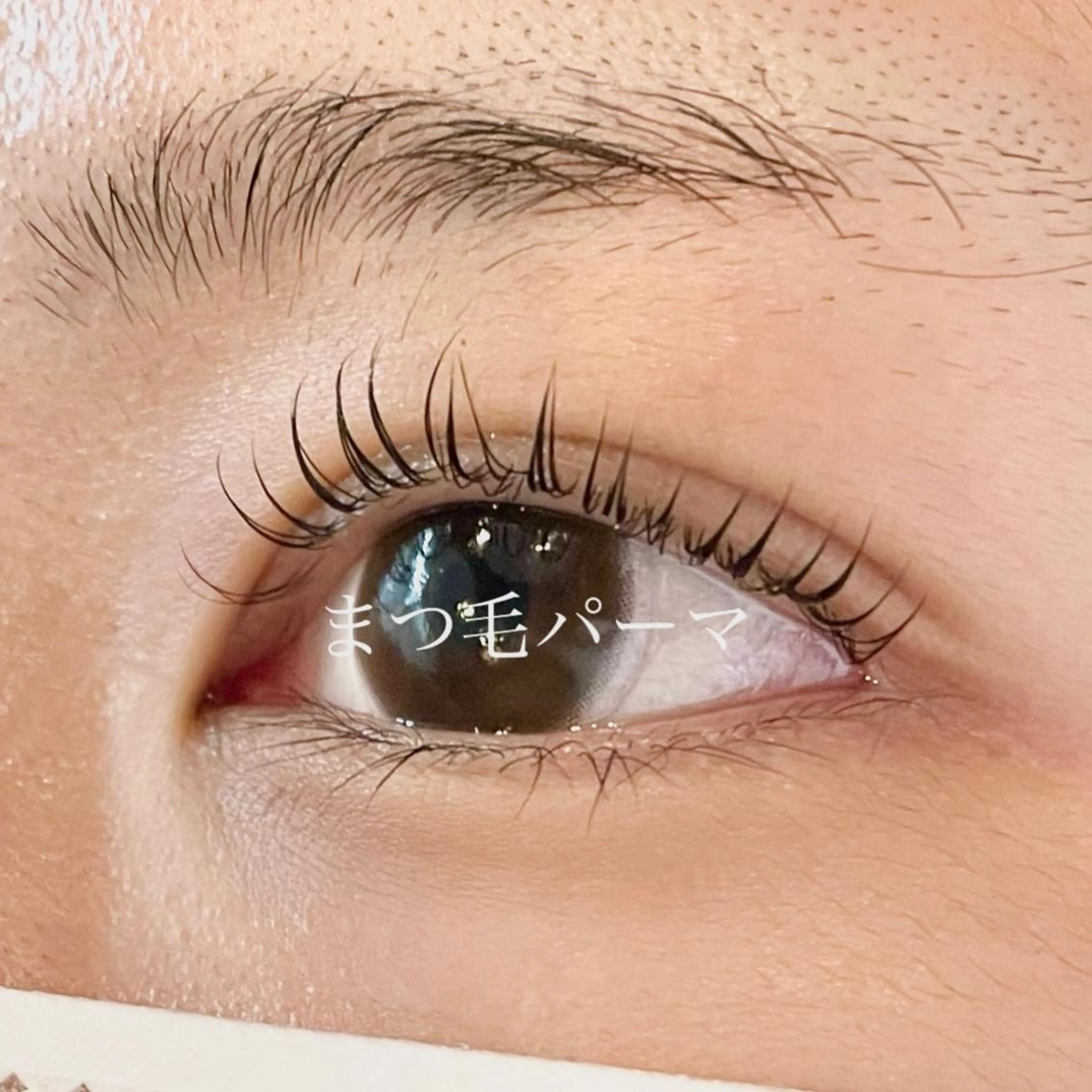 minimo限定価格🌸パーマ上下🌸の写真