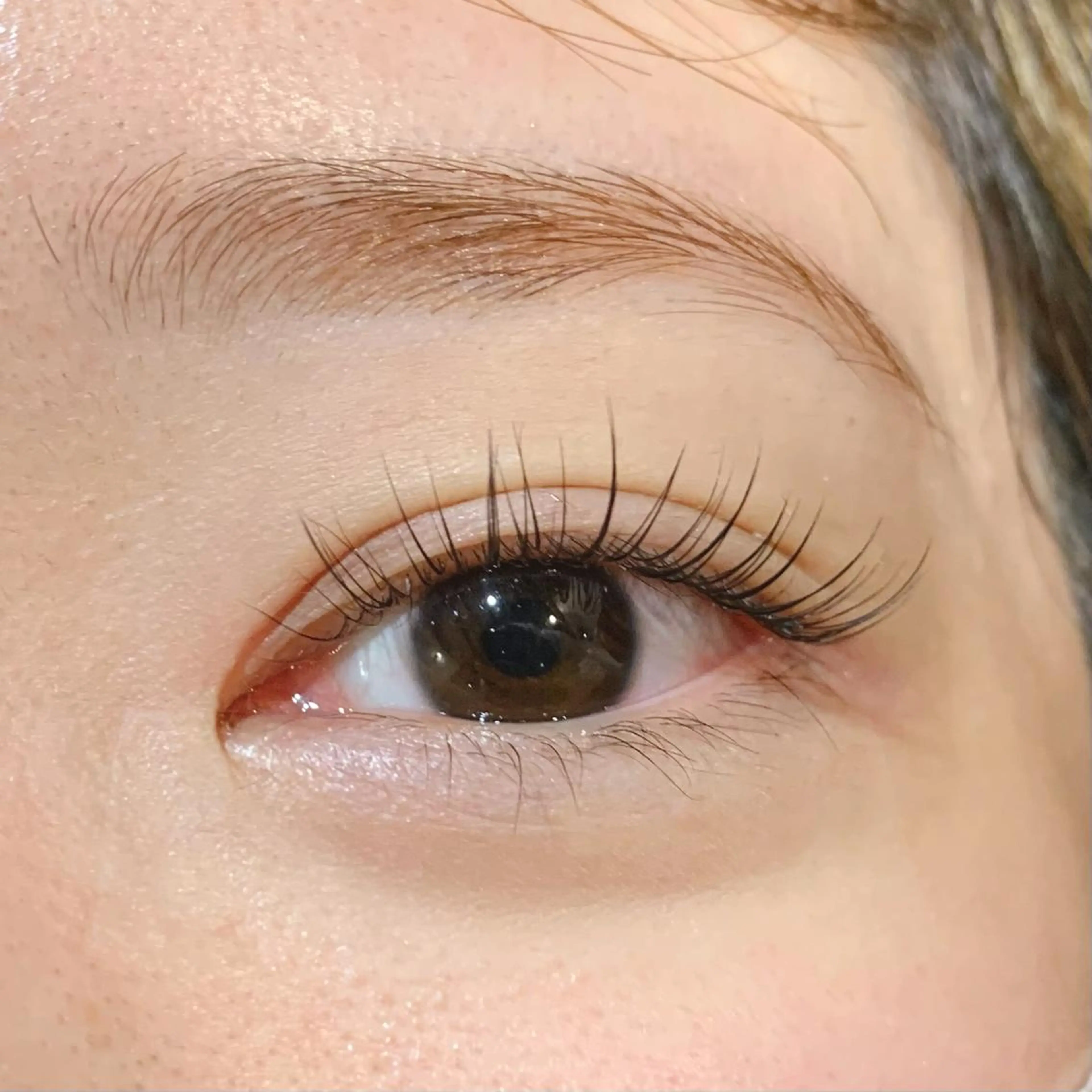 マツエク・マツパ アイブロウ パリジェンヌラッシュリフト alushe🌼 HIME🌼のマツエク・マツパデザイン