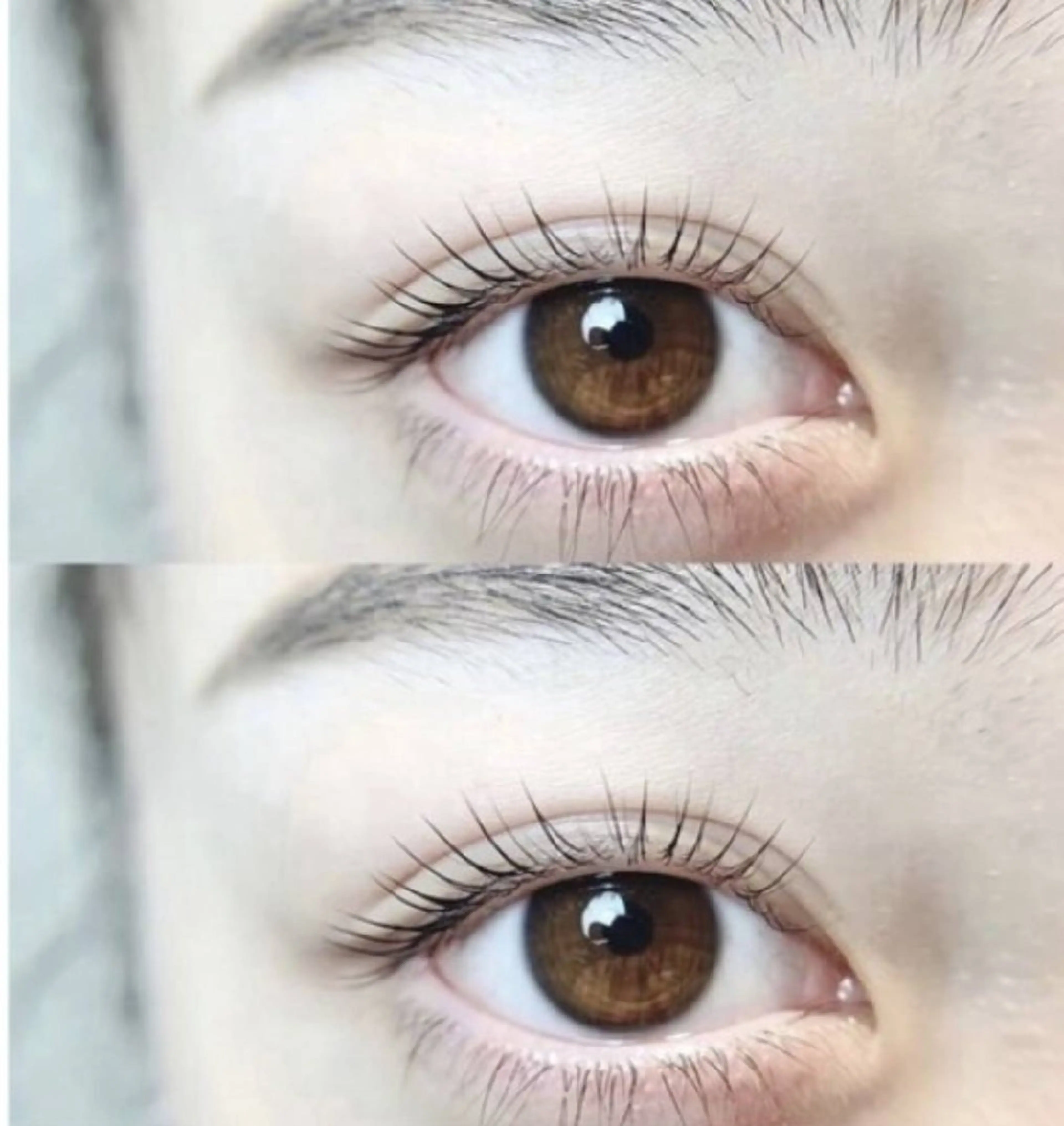 マツエク・マツパ violus所属・violus 天六のマツエク・マツパデザイン