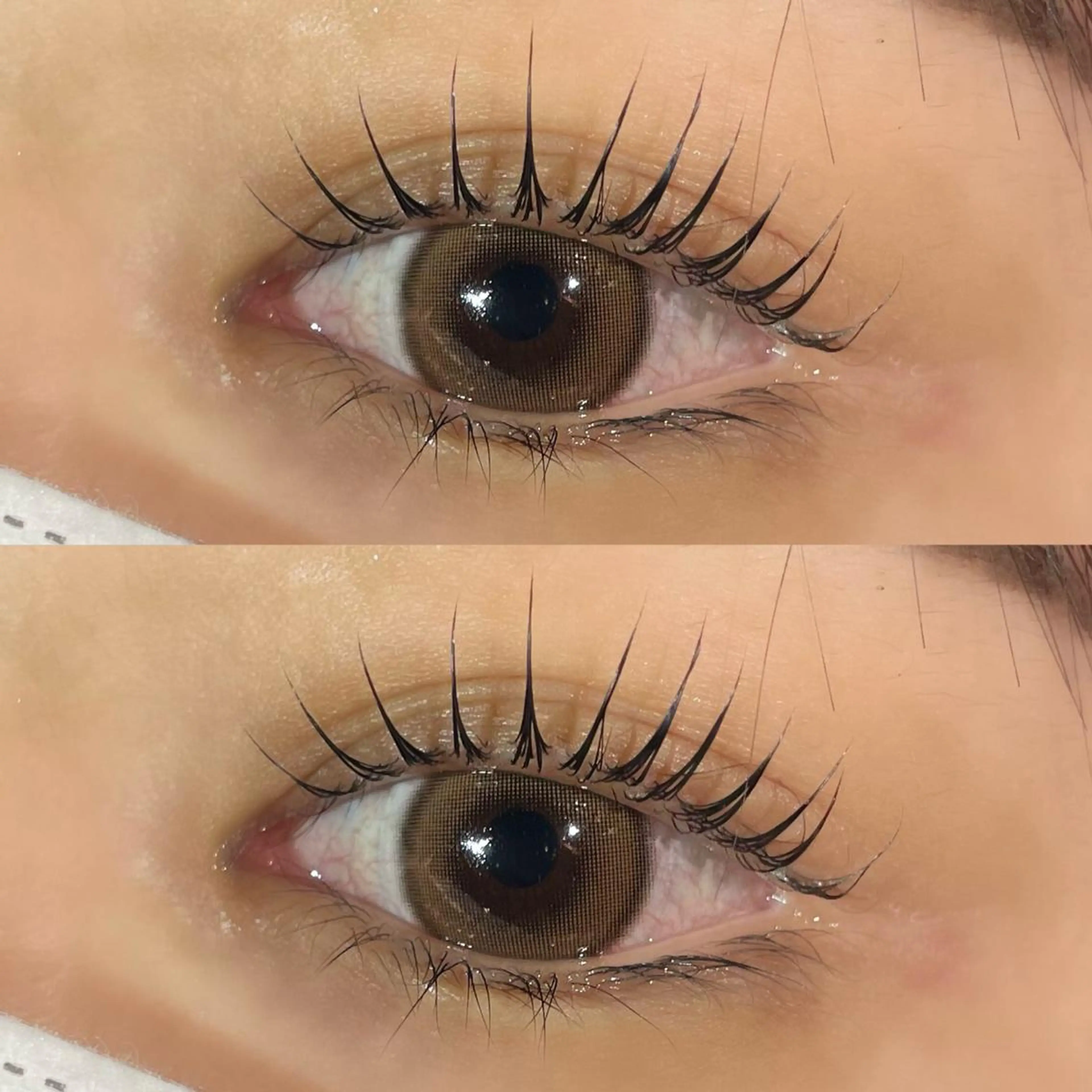 美眉ワックス+まつ毛パーマ set menu♡土日祝+550円の写真