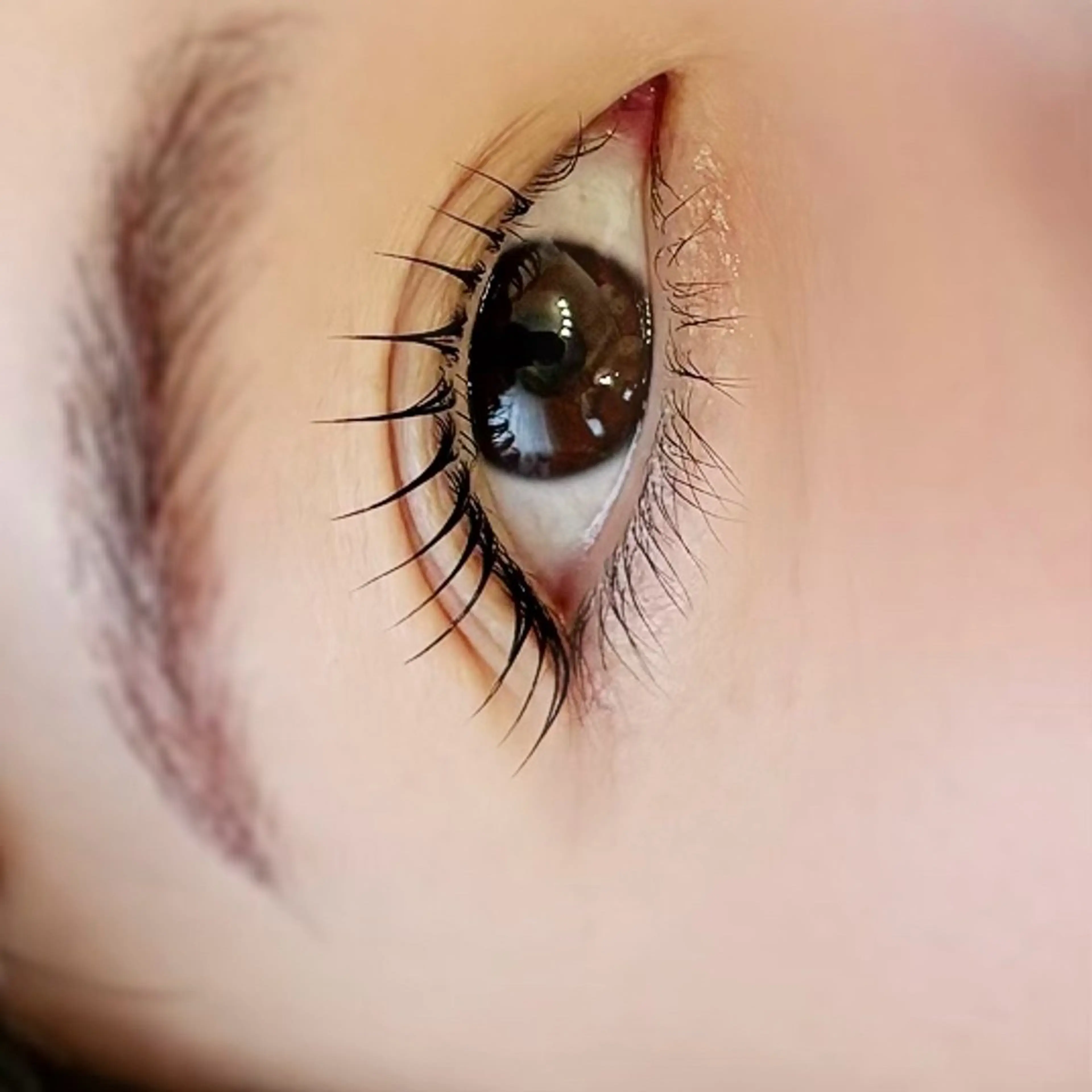 マツエク・マツパ Luano YURICOのマツエク・マツパデザイン