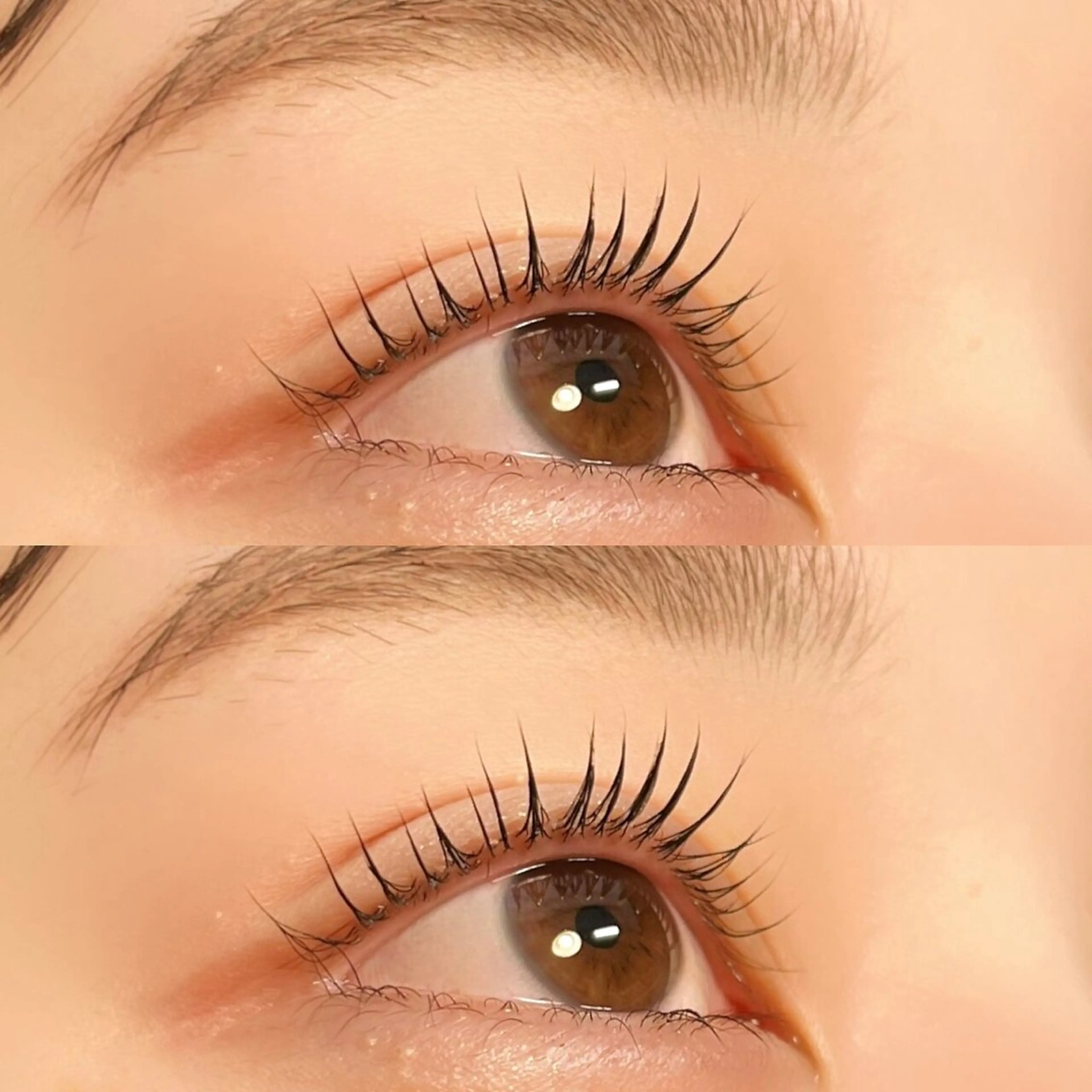 【ラッシュリフト】トリートメント3回付き✨　持ち◎の写真