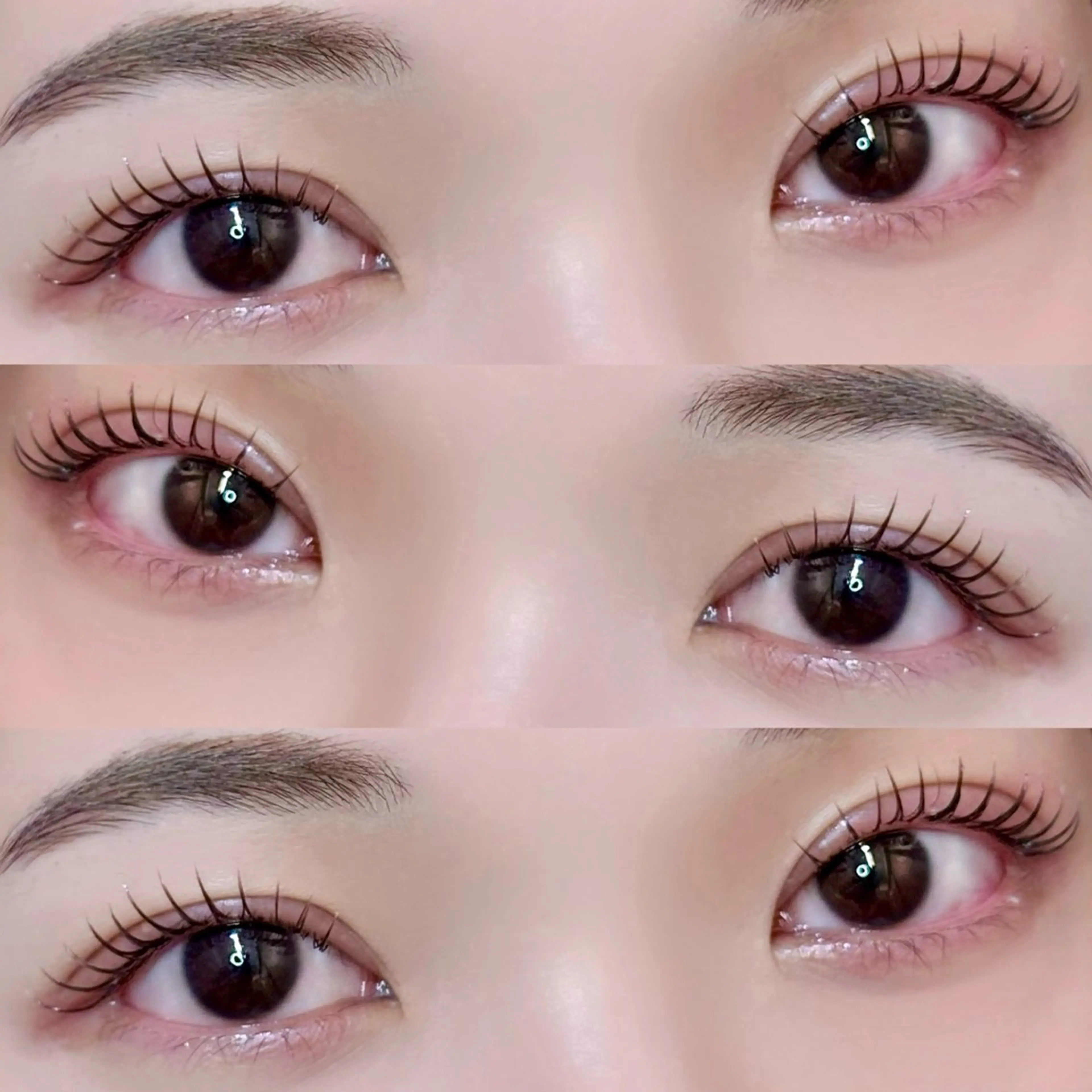 マツエク・マツパ マツエク 🦖fein. YUINA🦕⋆͛のマツエク・マツパデザイン