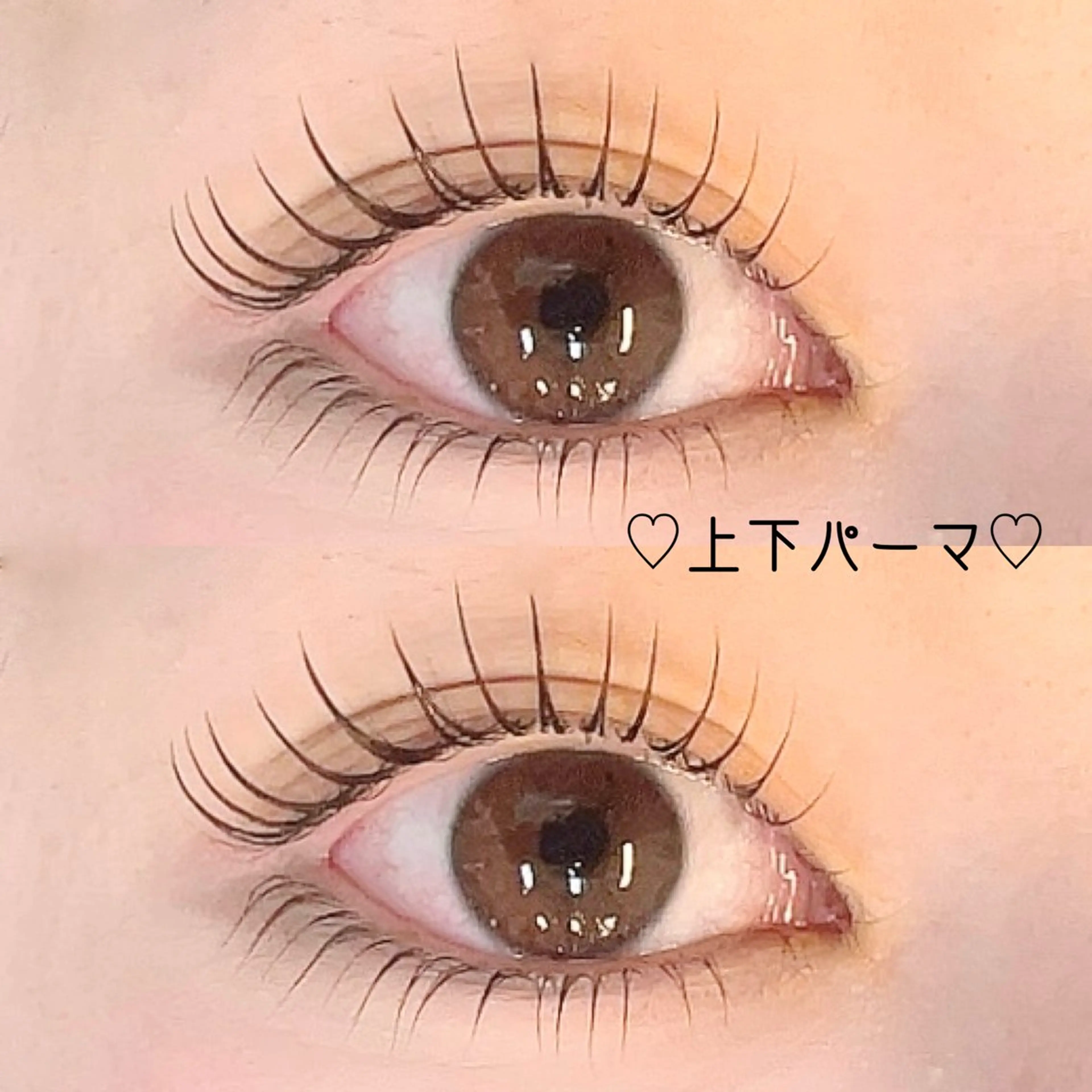 マツエク・マツパ roseosnow 🎀MIKUのマツエク・マツパデザイン