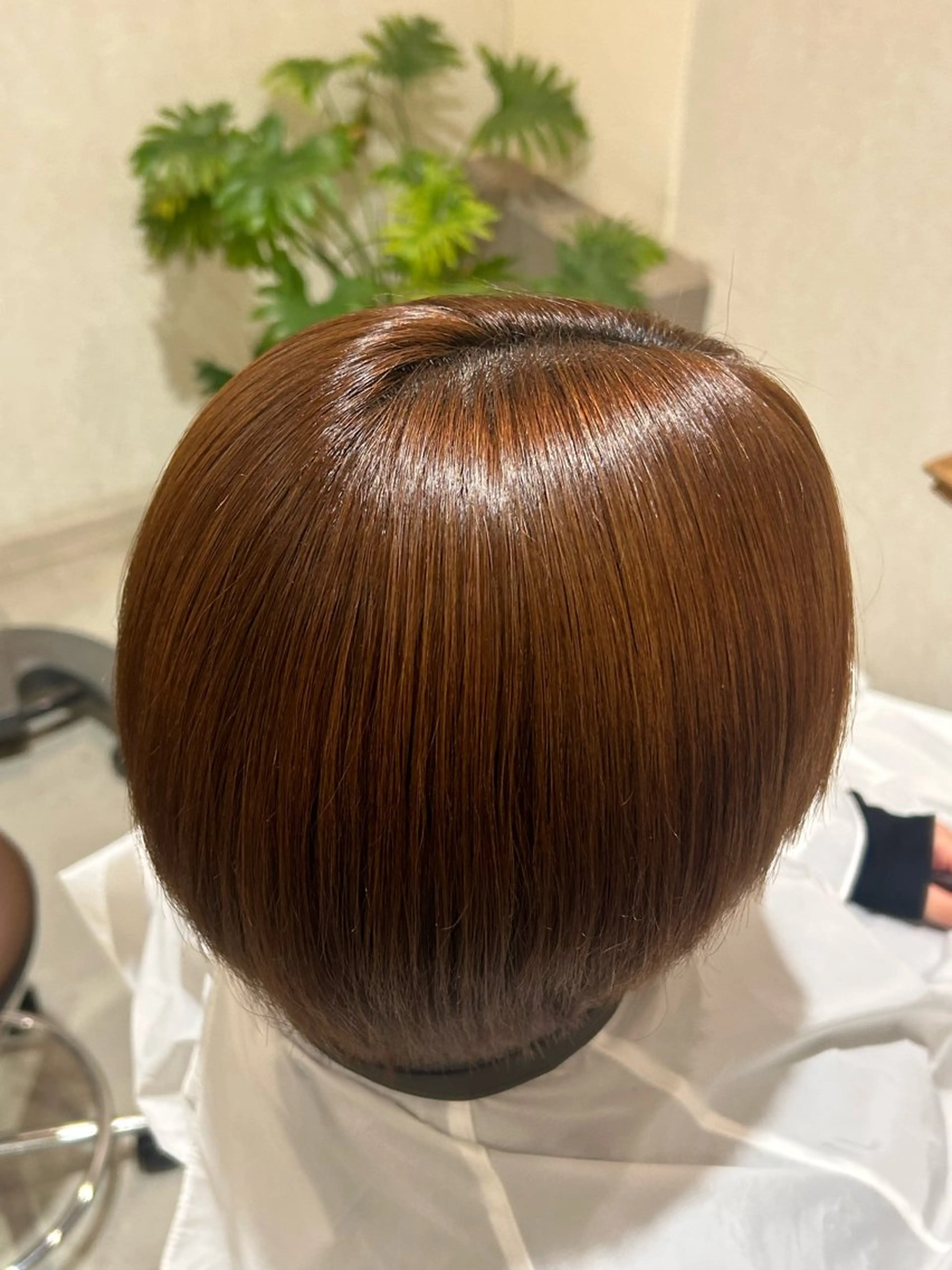 カラー 縮毛矯正 西林 伶架のヘアスタイル